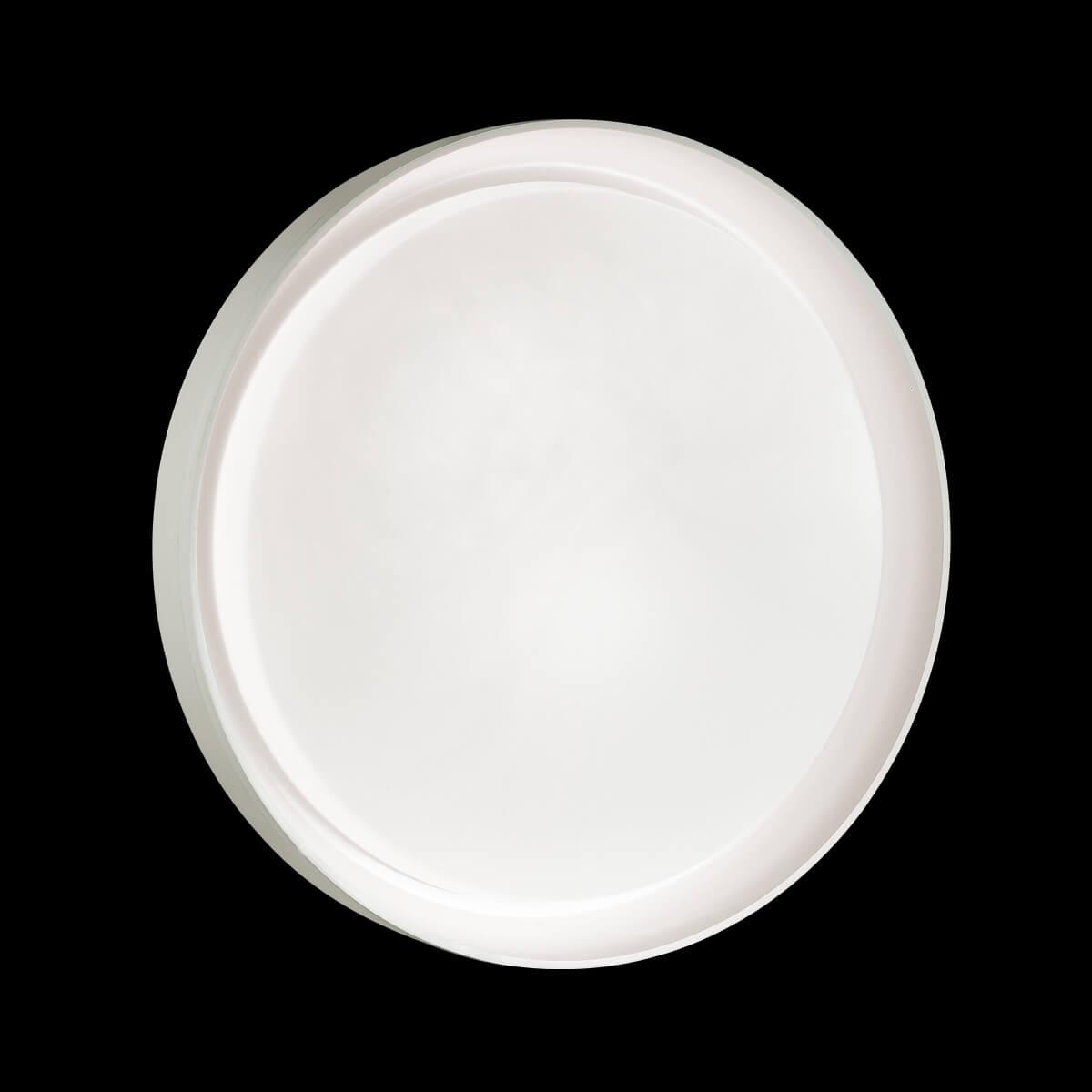 Дополнительная картинка Настенно-потолочный светильник Sonex Tan Bionic 3030/DL