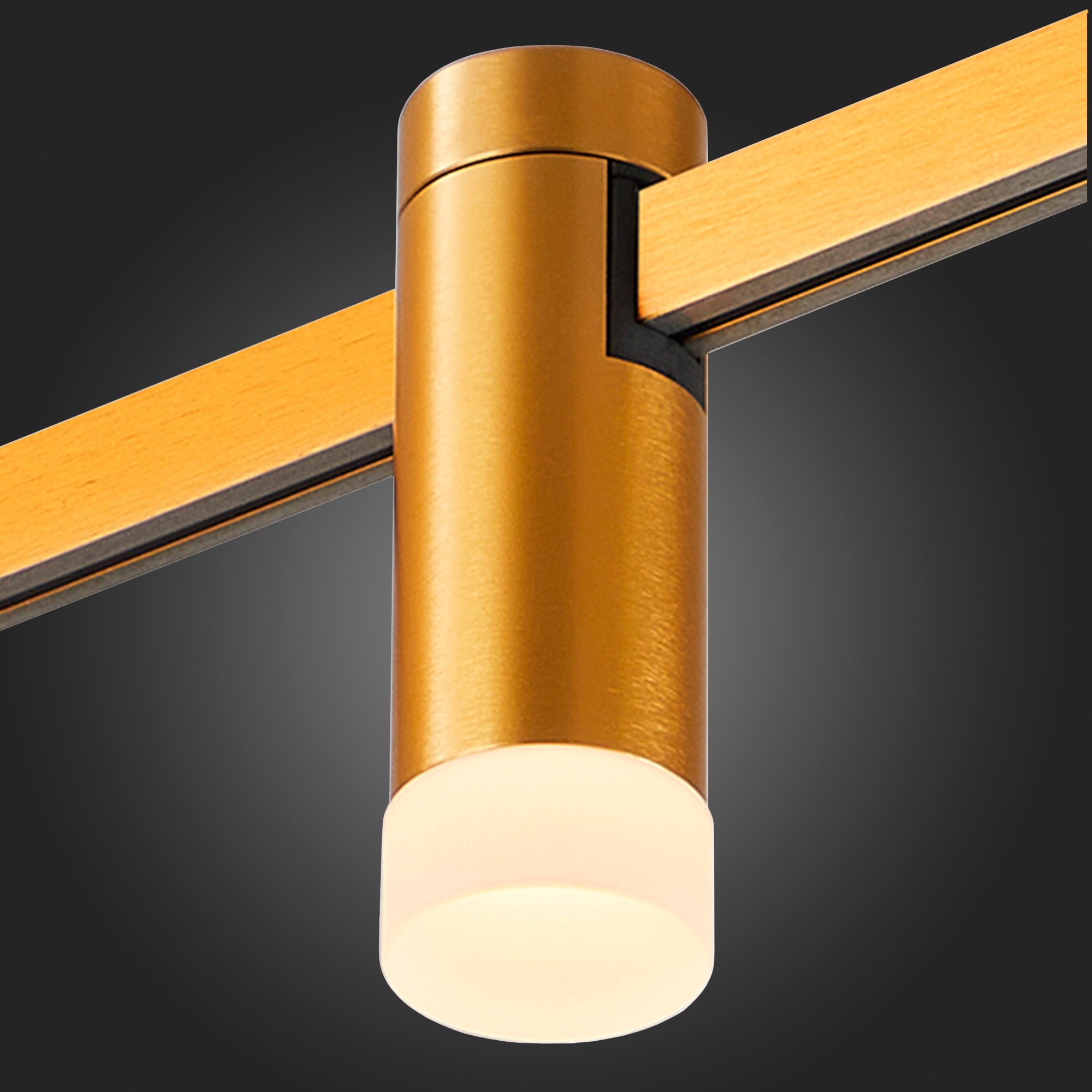 Картинка ST812.206.03 Магнитный трековый светильник FARM