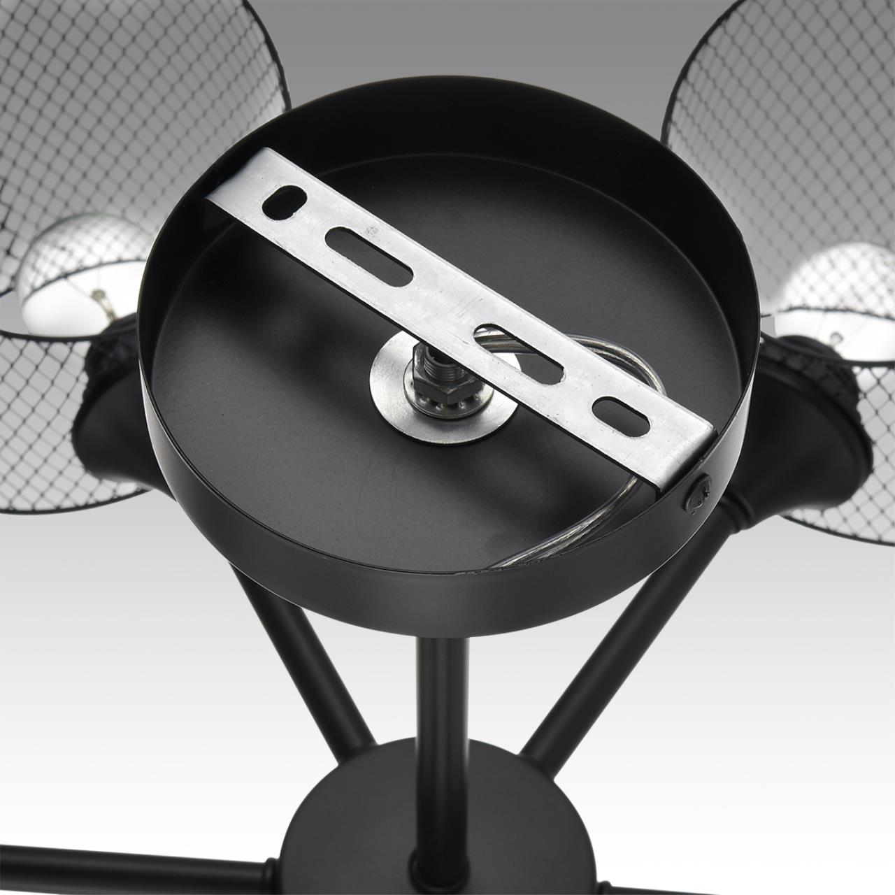 Картинка 8238/6C Lumion Люстра потолочная TIDINA