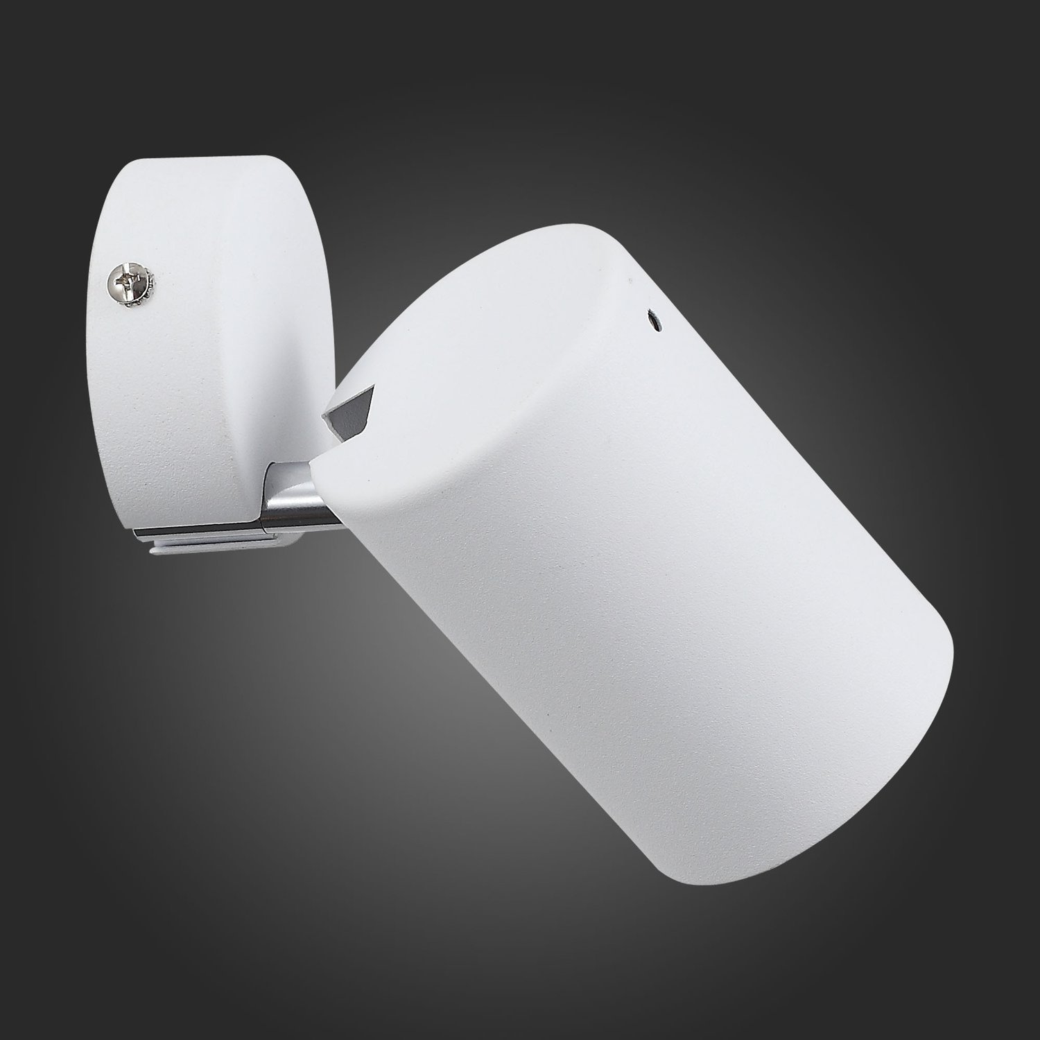 Картинка Светодиодный спот ST Luce Fanale SL597.501.01