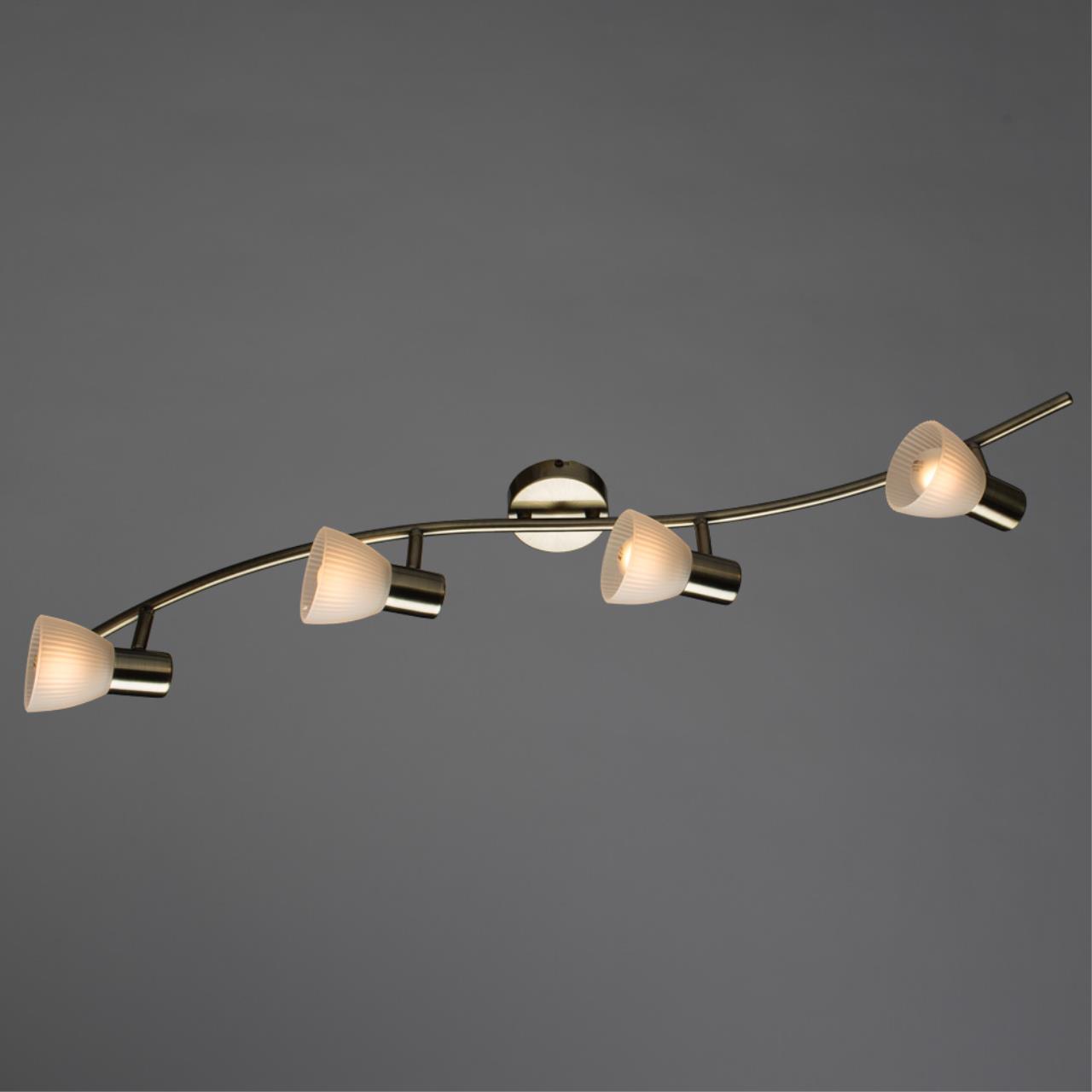 Картинка Настенно-потолочный светильник Arte Lamp Parry A5062PL-4AB