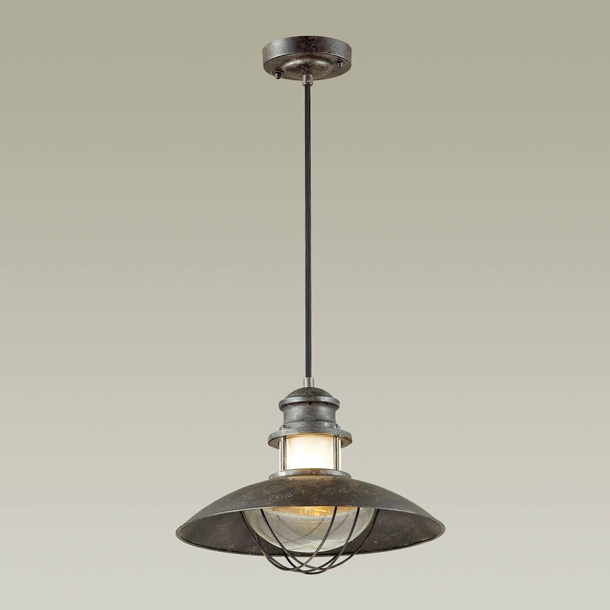Картинка Уличный подвесной светильник Odeon Light Nature Dante 4164/1