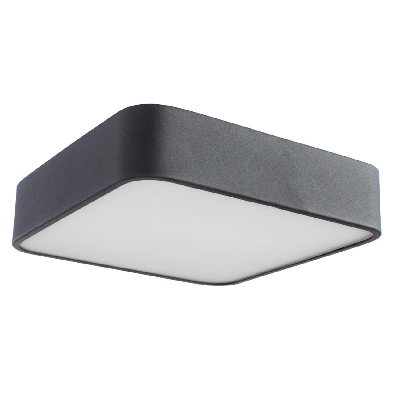Потолочный светильник Arte Lamp Cosmopolitan A7210PL-2BK — фото 4