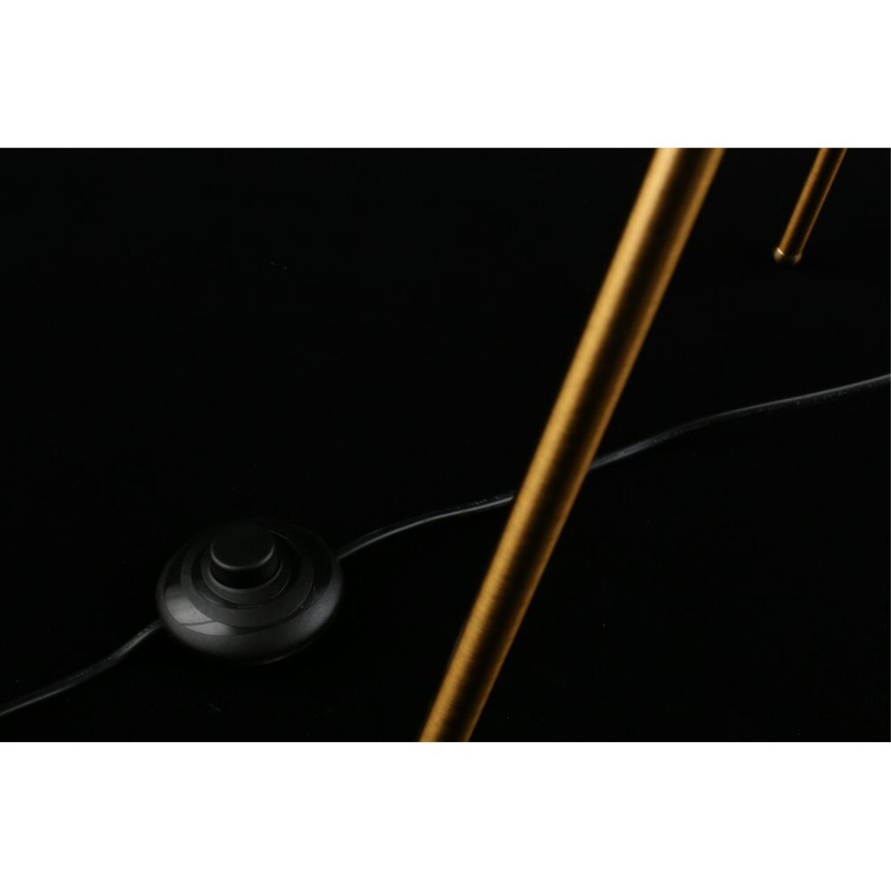 Картинка APL.348.15.03 Торшер Aployt Maja