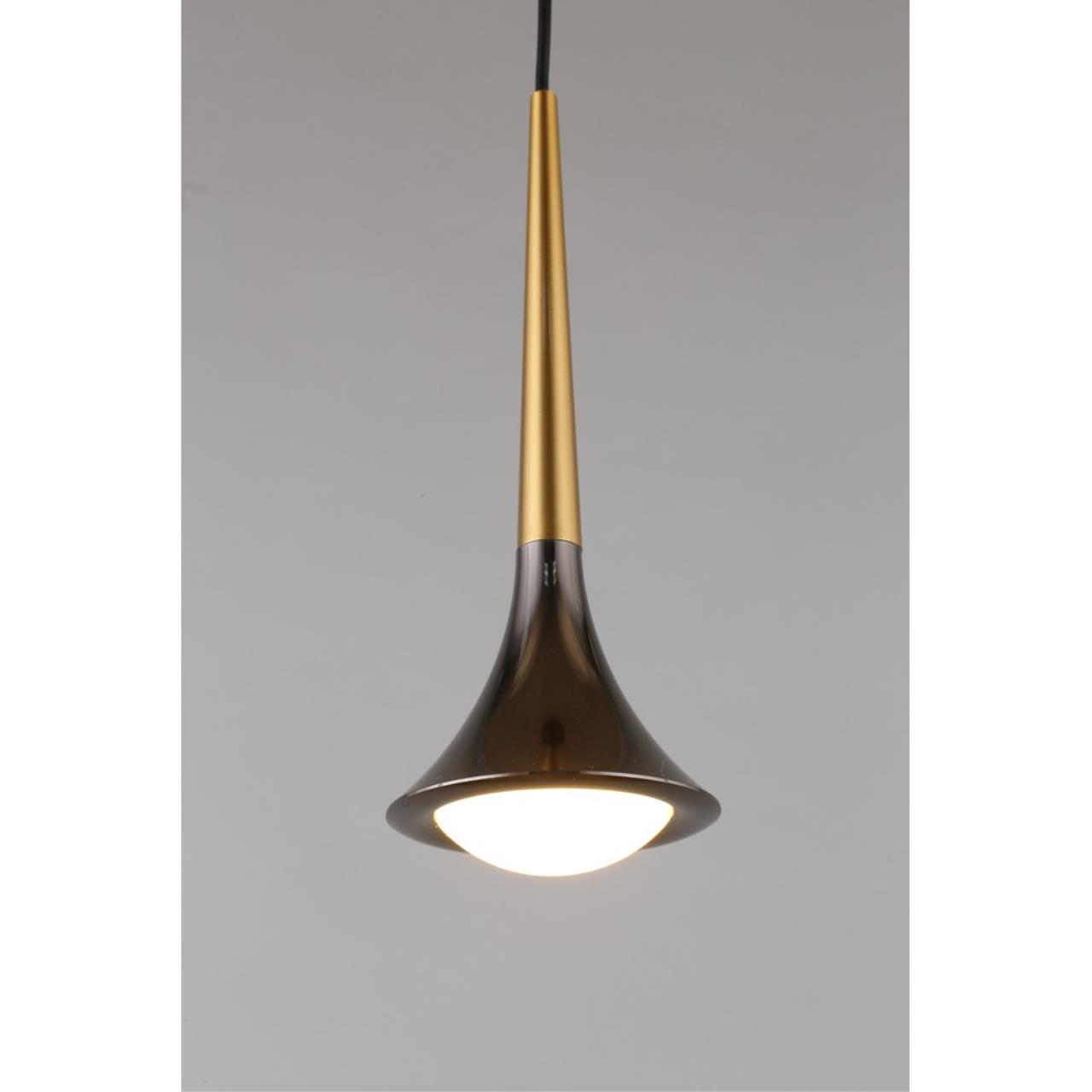 Картинка APL.784.06.01 Светильник подвесной Aployt Agas