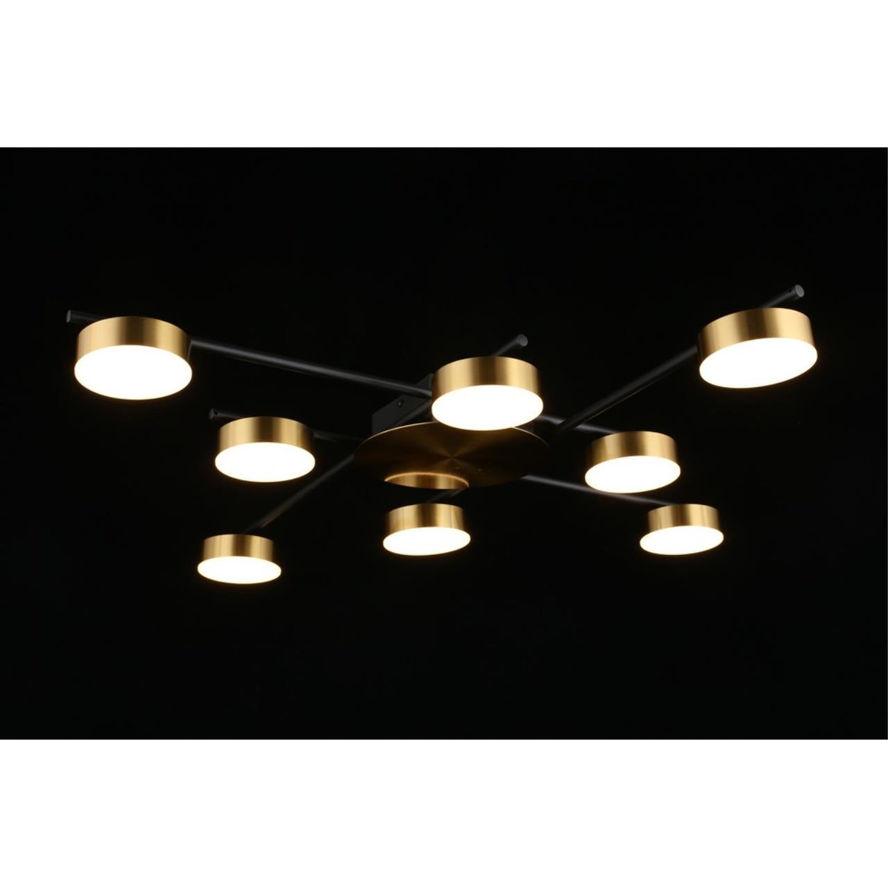 Картинка Потолочная светодиодная люстра Aployt Delayn APL.042.07.56