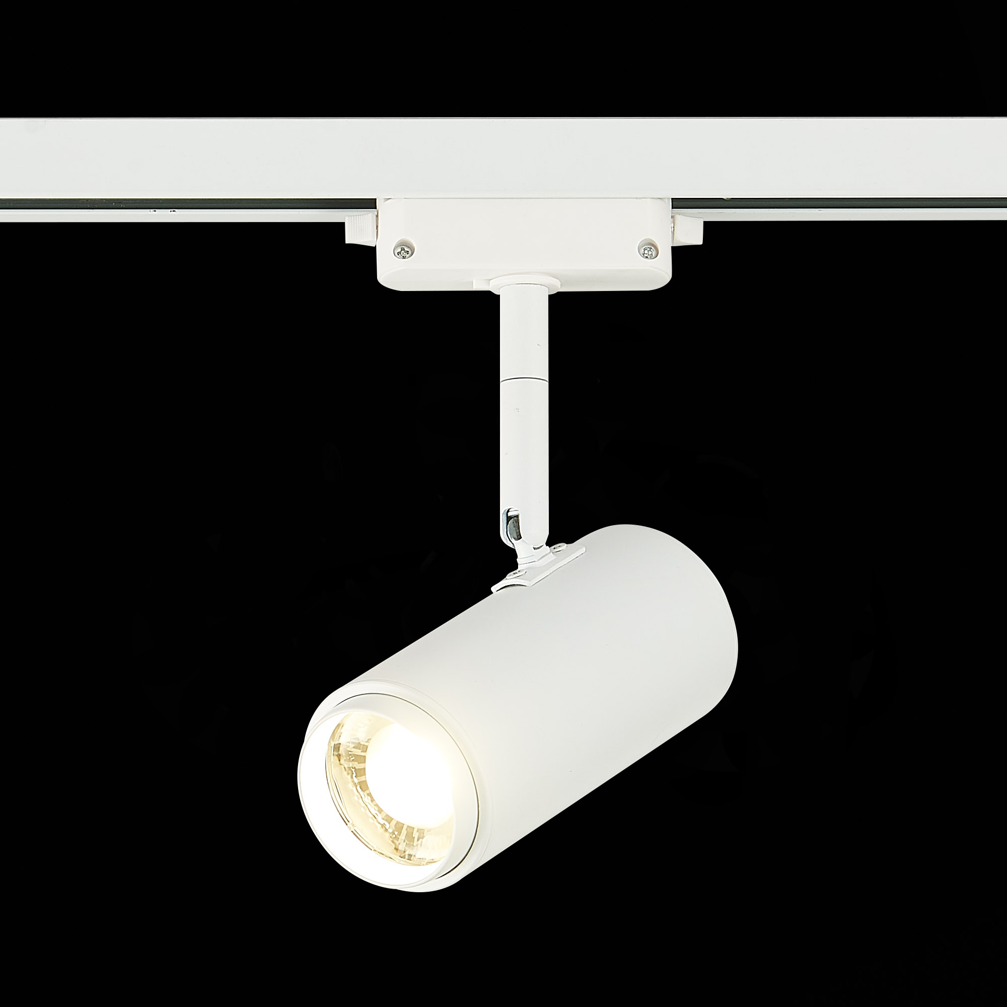 Картинка Трековый светодиодный светильник ST Luce Zoom ST600.546.12