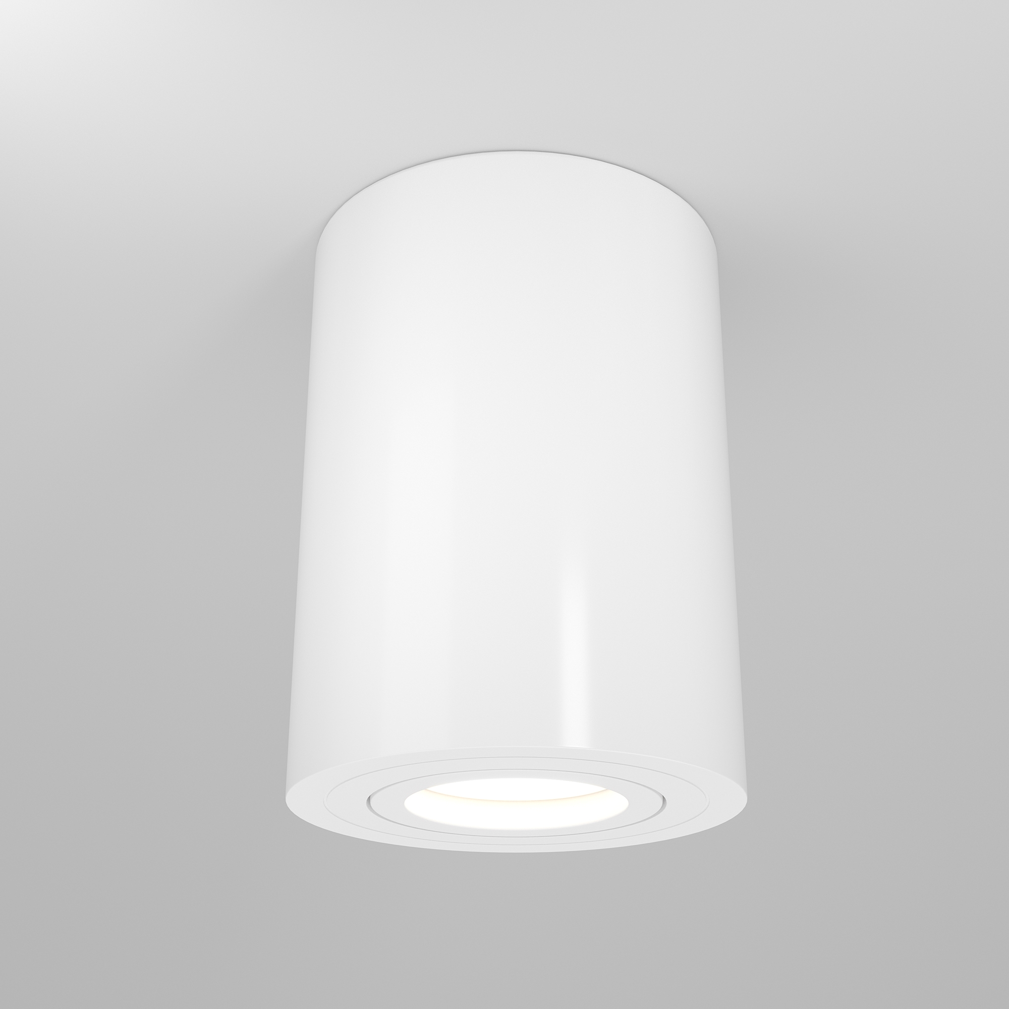 Дополнительная картинка Потолочный светильник Maytoni Alfa C016CL-01W