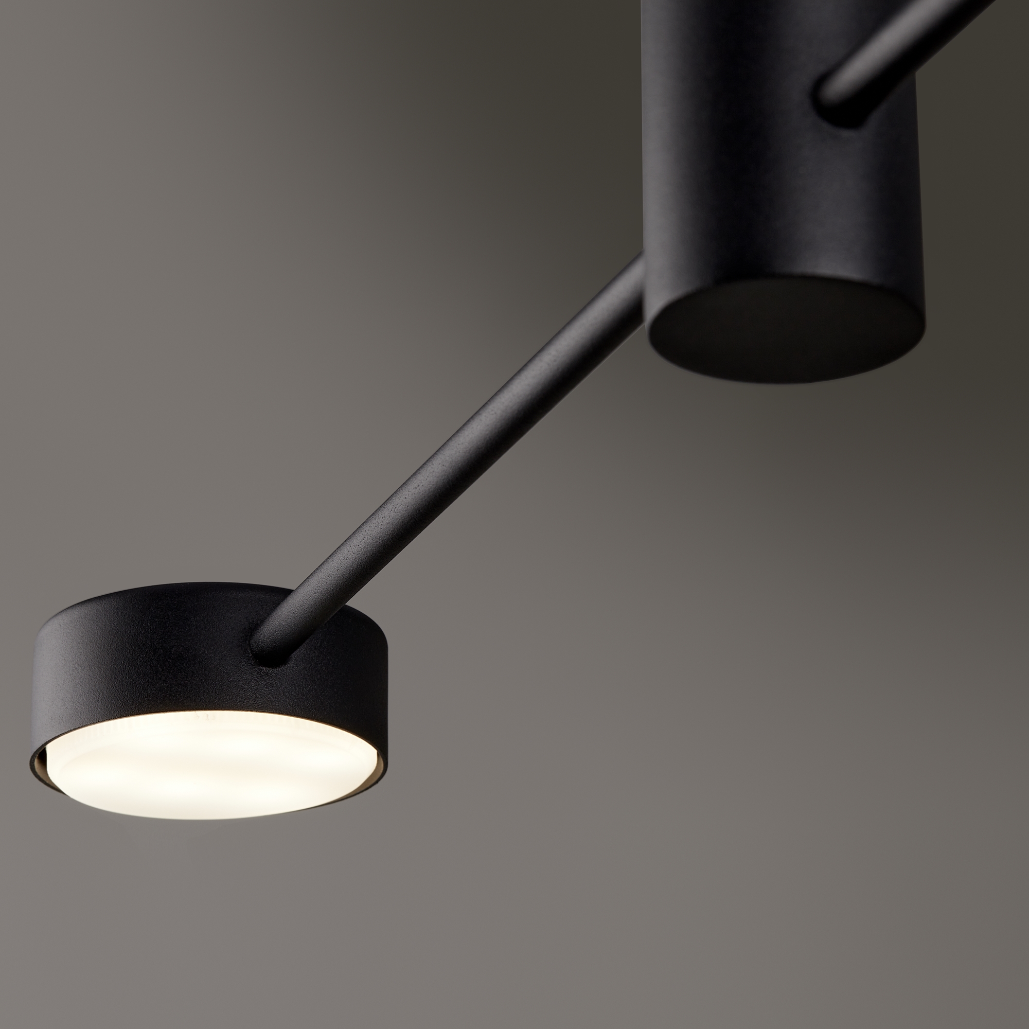 Дополнительная картинка Потолочный светильник Freya FR5363CL-02B1