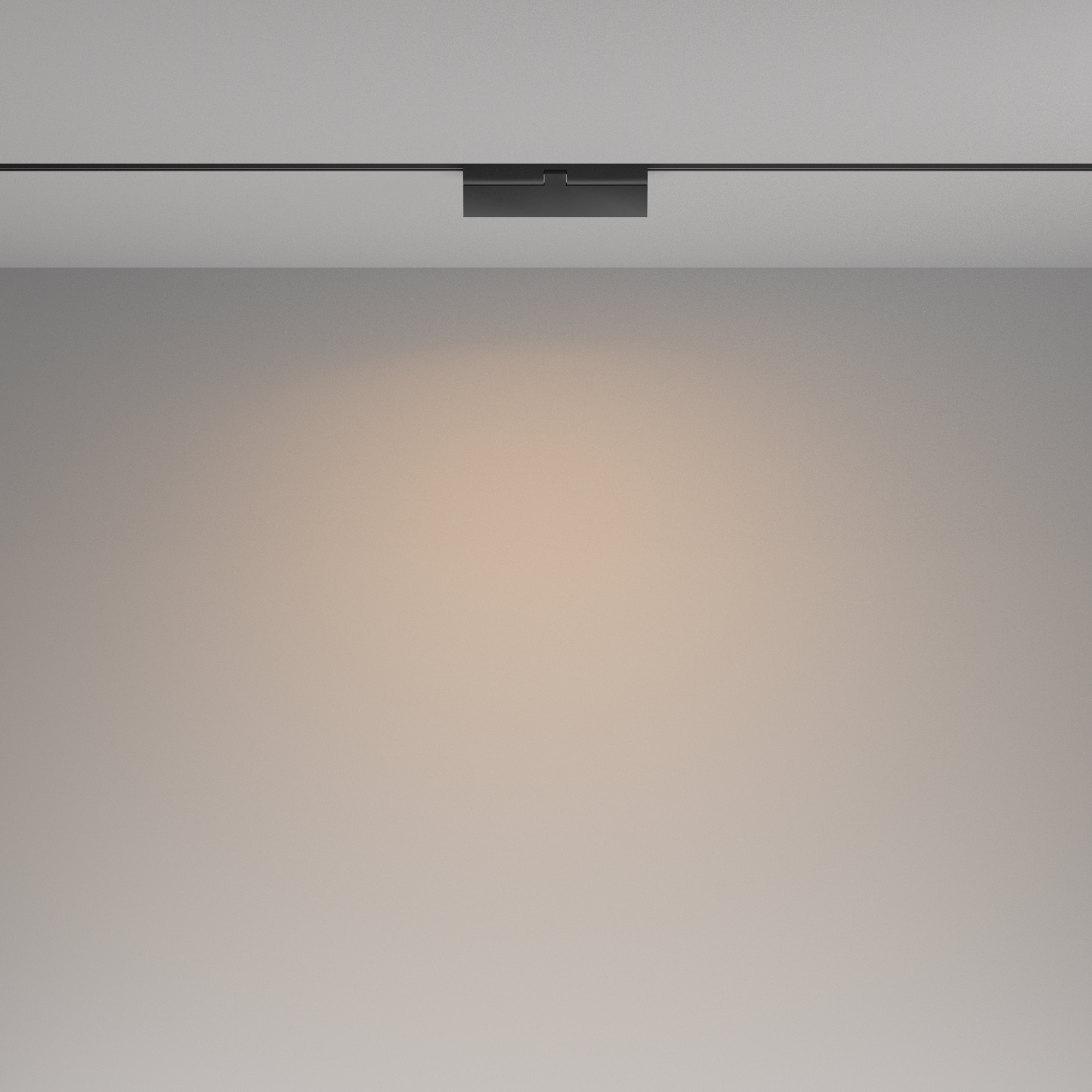 Дополнительная картинка Трековый светильник Technical TR036-2-12W3K-B