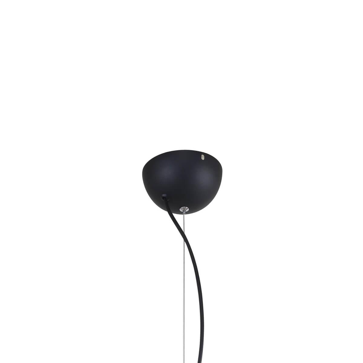 Дополнительная картинка Подвесная люстра F-Promo Trick 2762-10P