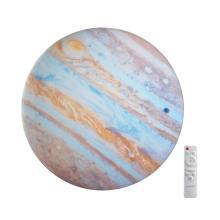 Настенно-потолочные 7724/DL PALE SN 76 Светильник с пультом ДУ JUPITER, доставка по Казахстану 