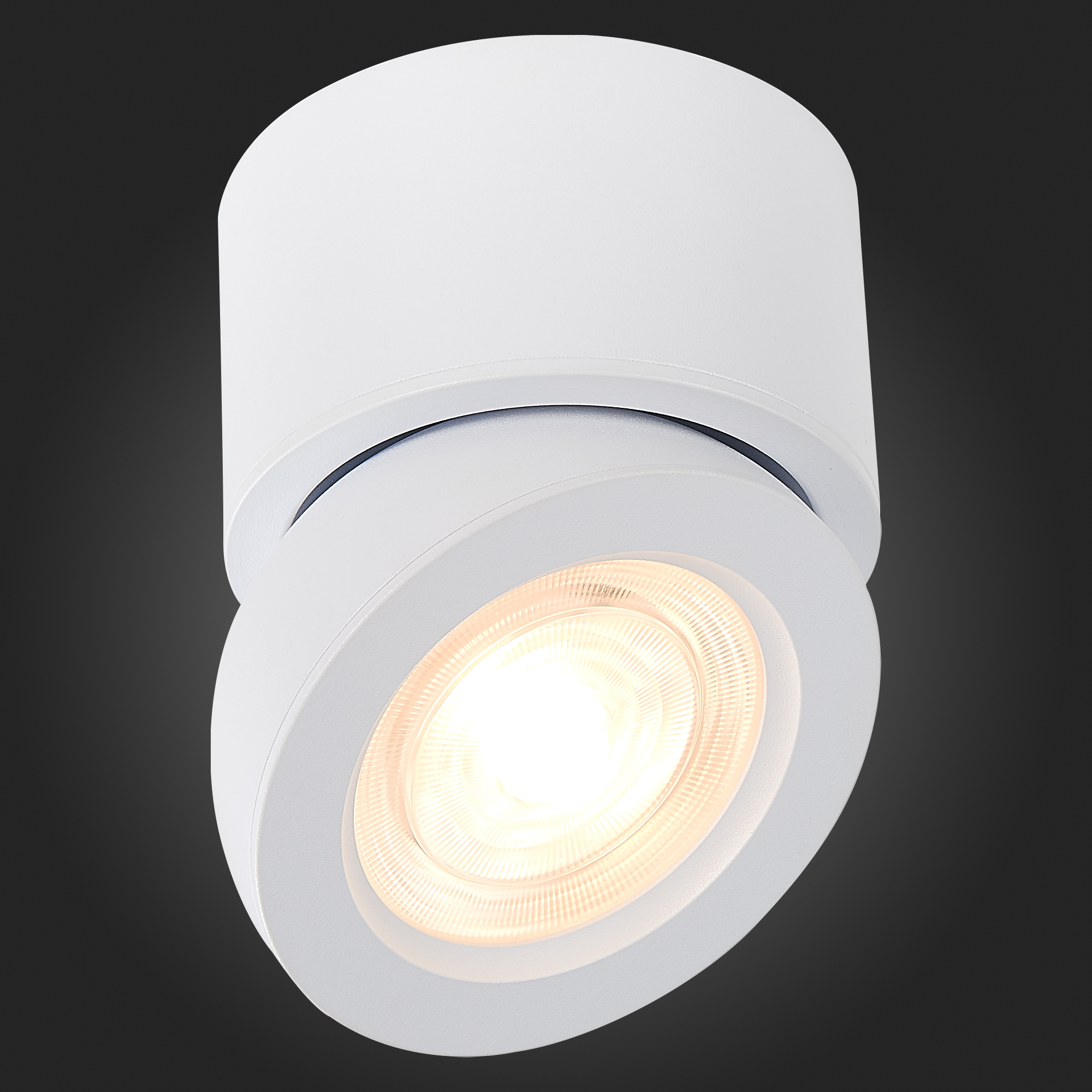 Картинка Светодиодный спот ST Luce ST654.532.10