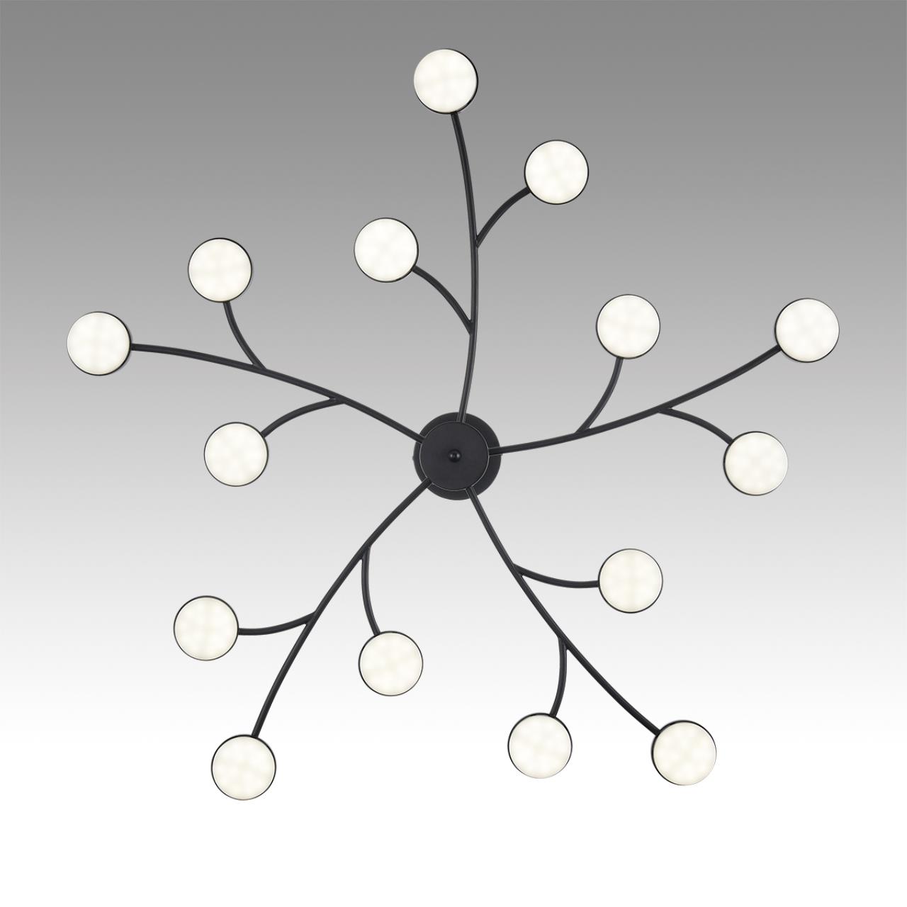 Дополнительная картинка 8117/15 Lumion Люстра LED TORINA
