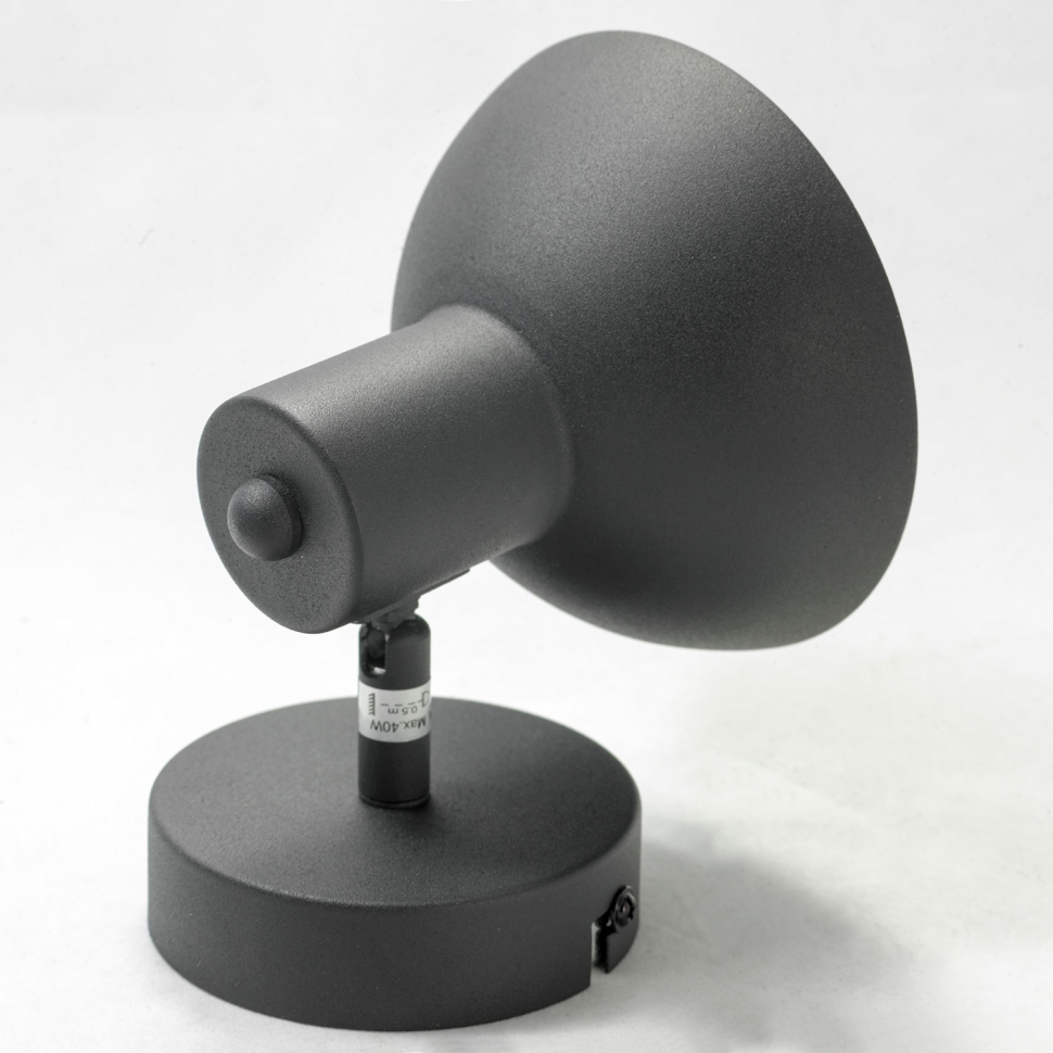 Картинка Спот Lussole Loft LSP-9973