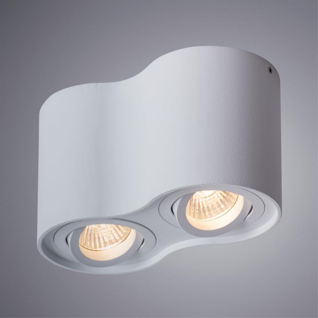 Дополнительная картинка Потолочный светильник Arte Lamp Falcon A5645PL-2WH