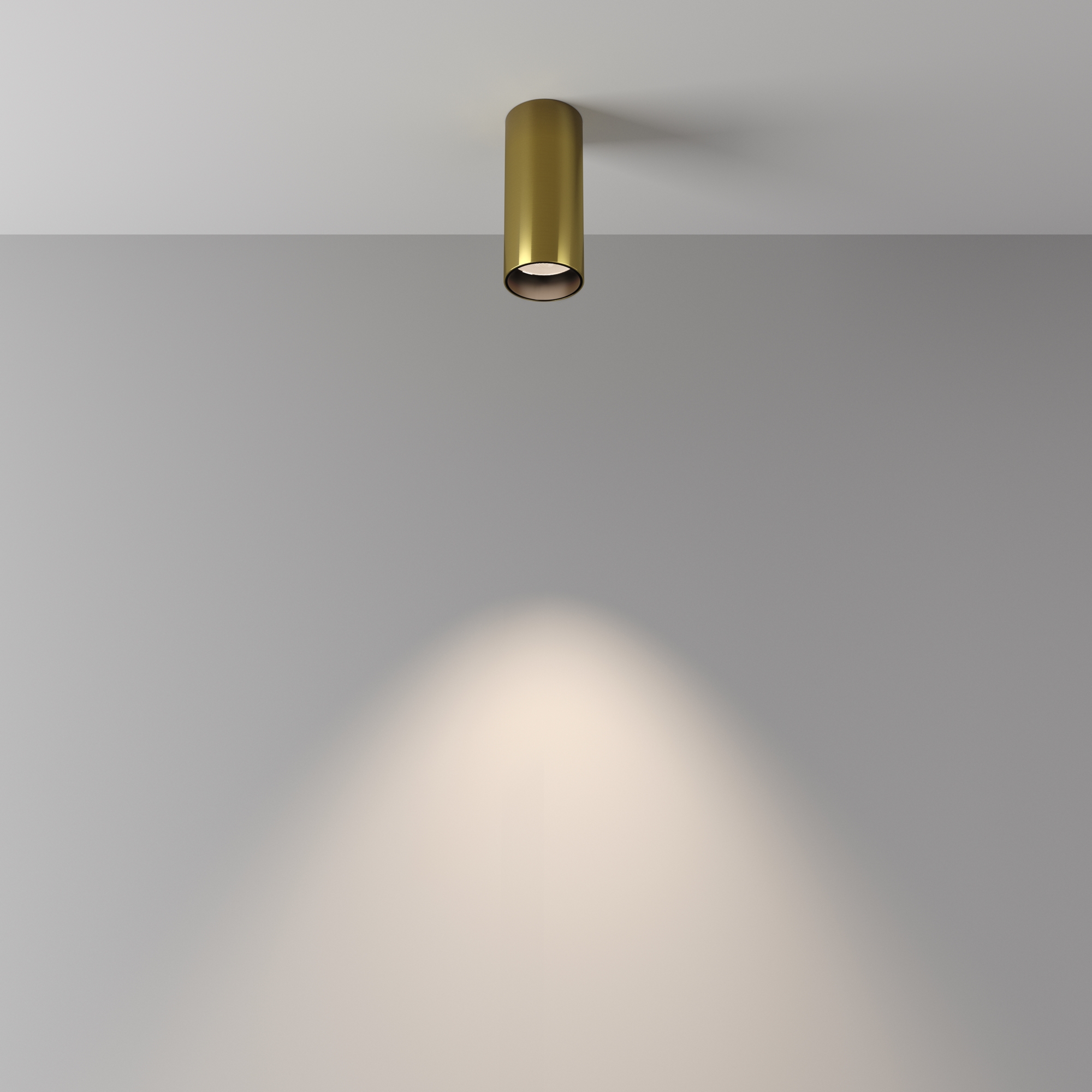 Картинка Потолочный светильник Technical C056CL-L12W4K-W-BS