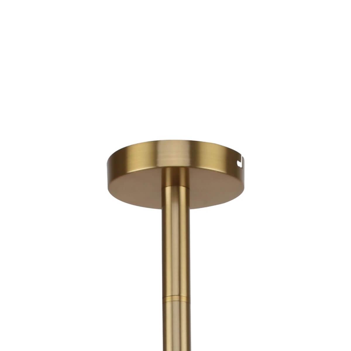 Дополнительная картинка Подвесная люстра Favourite Eternity 2765-12P