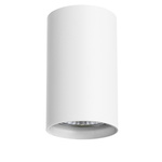 Дополнительная картинка Потолочный светильник Lightstar Rullo 214436