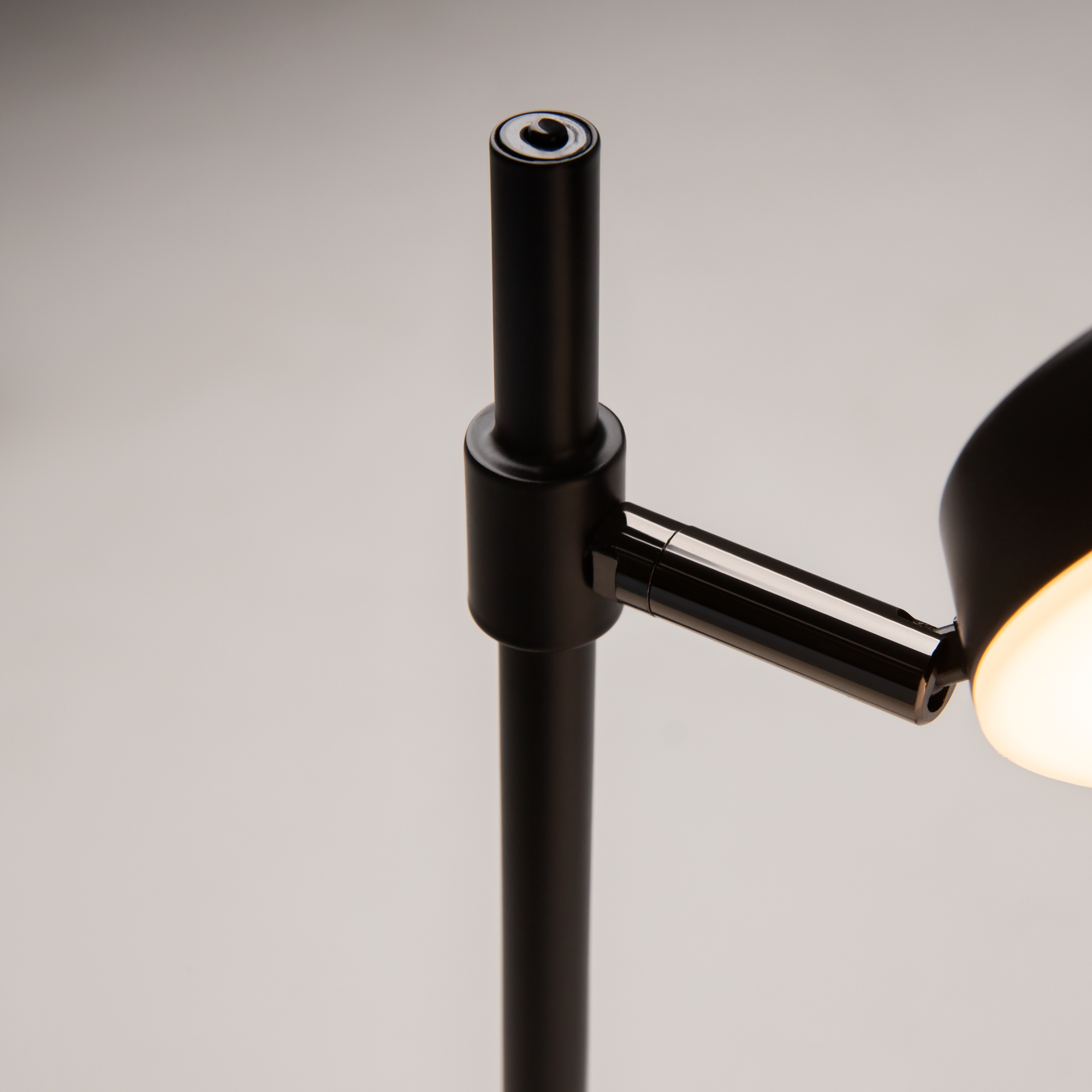 Картинка Настольная лампа Maytoni Fad MOD070TL-L8B3K