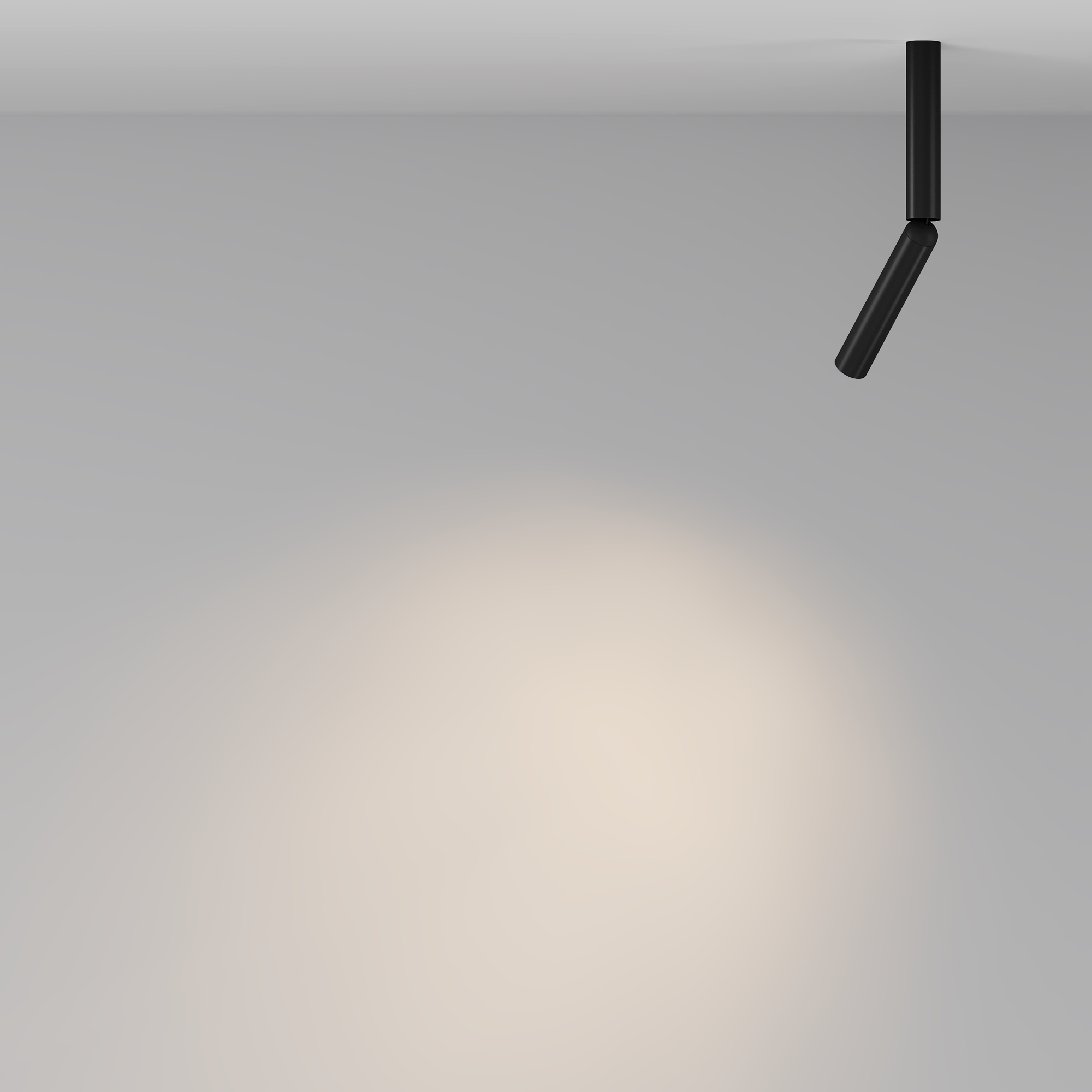 Дополнительная картинка Потолочный светильник Technical C142CL-6W3K-B