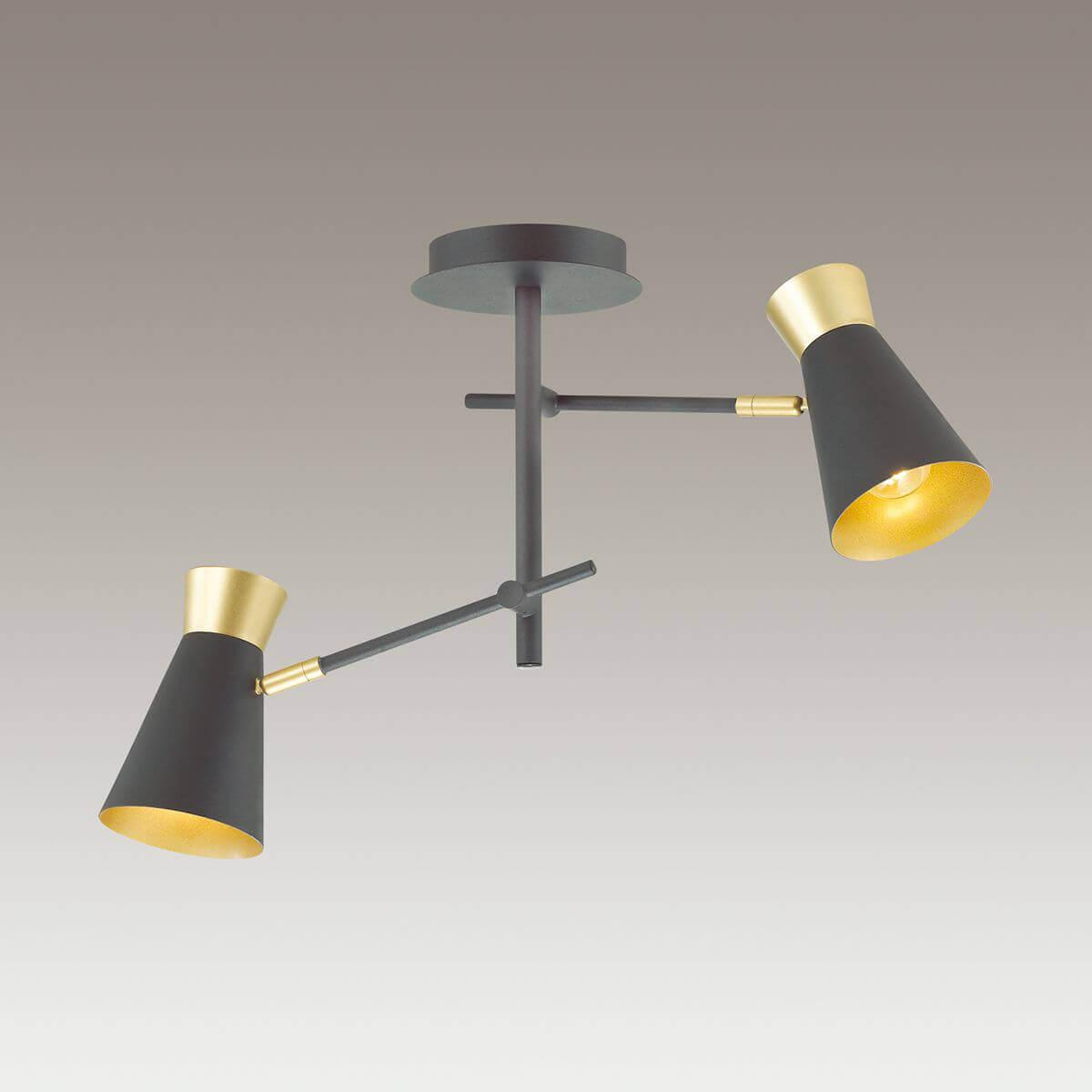 Картинка Подвесная люстра Lumion Liam 3790/2C