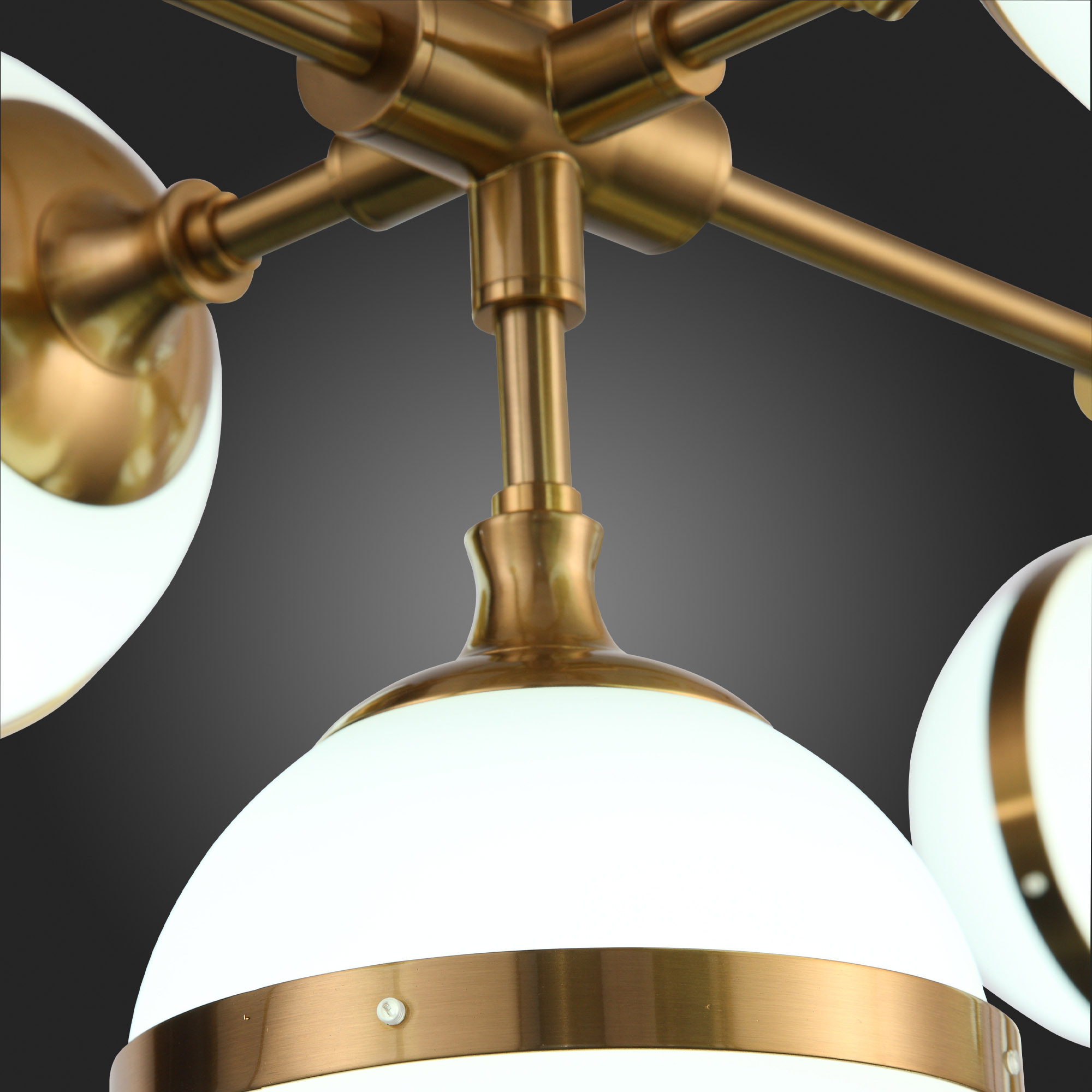 Картинка Подвесная люстра ST Luce Arbe SL1157.303.09