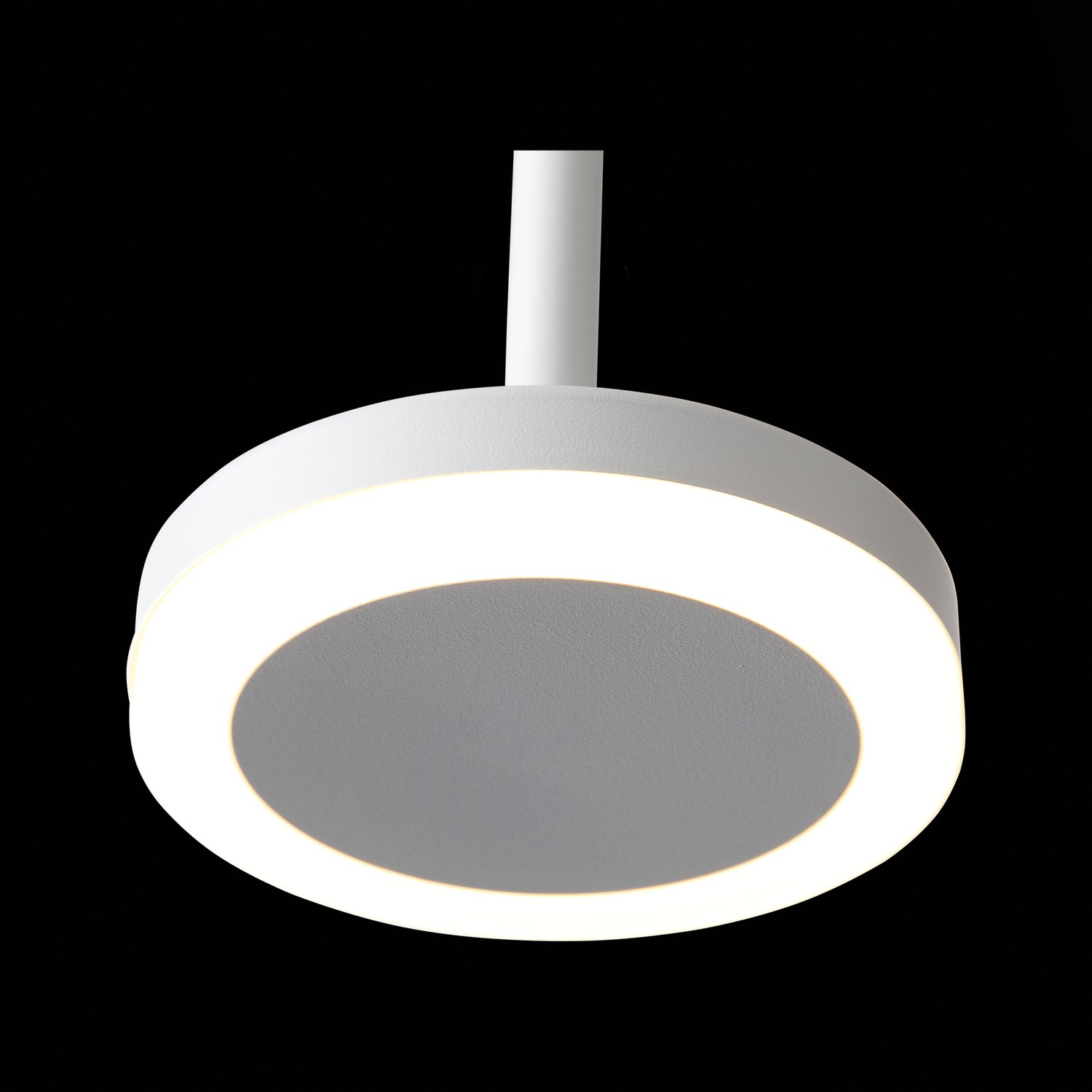 Картинка Подвесной светодиодный светильник ST Luce Ciamella ST104.503.06