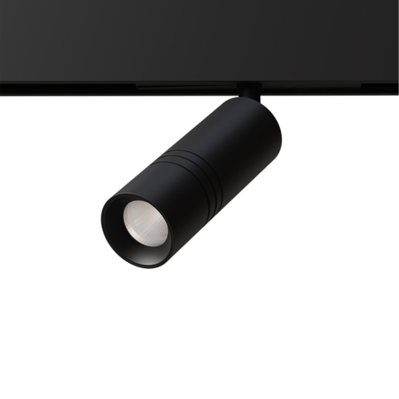 Дополнительная картинка Светильник потолочный Arte Lamp EXPERT A5741PL-1BK