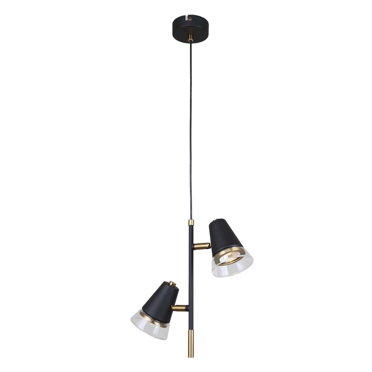 4618-2p подвесной светильник trandy f-promo, доставка по Казахстану 4618-2p подвесной светильник trandy f-promo, доставка по Казахстану