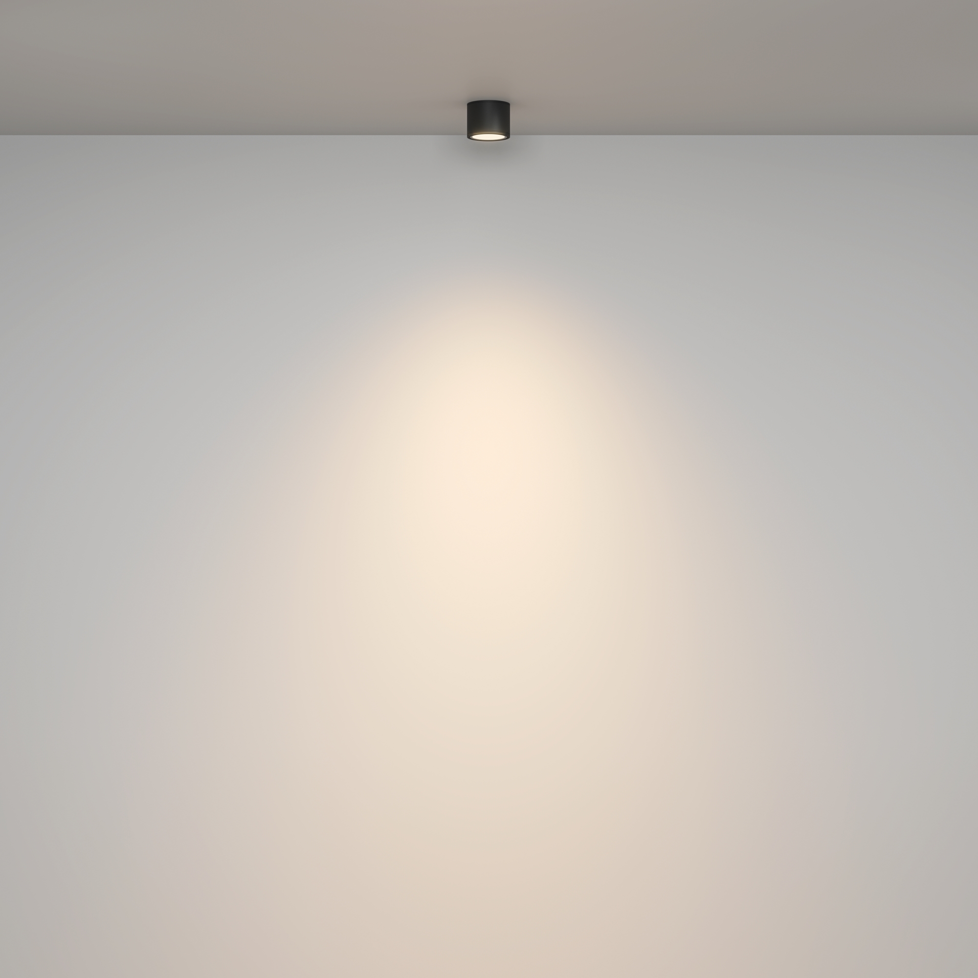 Дополнительная картинка Потолочный светильник Technical C095CL-GX53-B