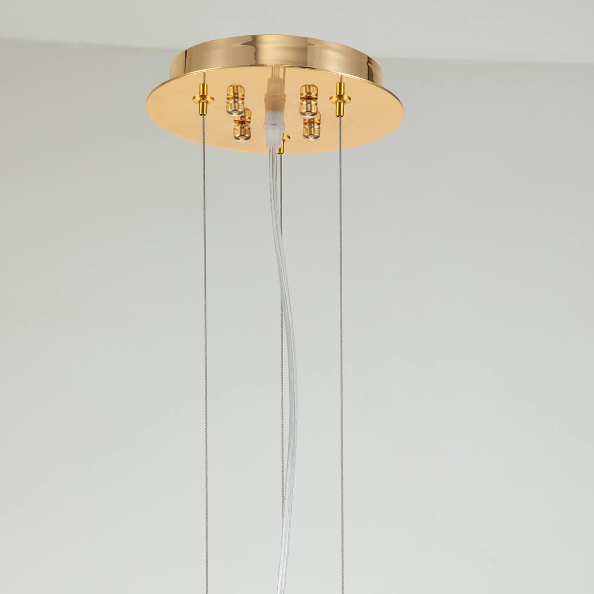 Картинка Подвесная люстра Favourite Messier 2879-8P