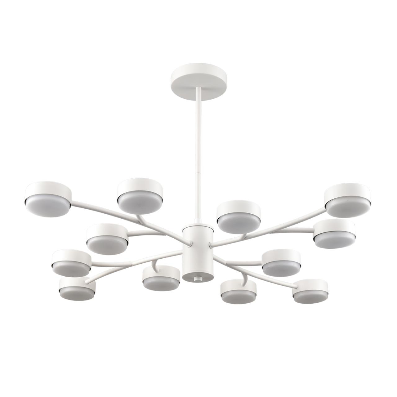 Дополнительная картинка 8265/12 Lumion Люстра TORINA