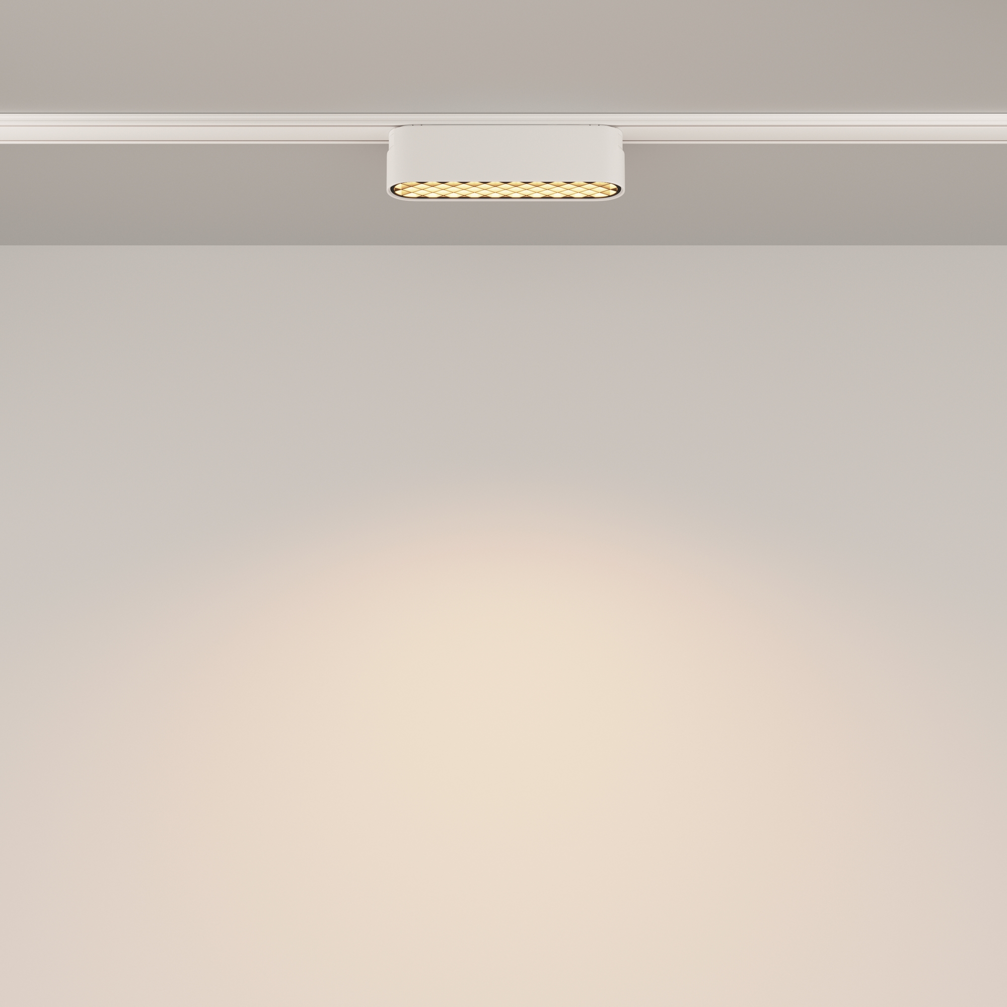 Дополнительная картинка Трековый светильник Technical TR084-1-6W3K-W