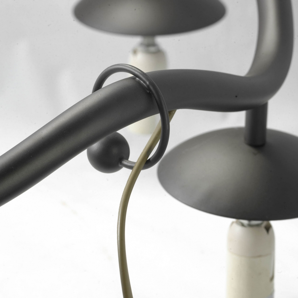 Дополнительная картинка Подвесная люстра Lussole Lgo LSP-0212