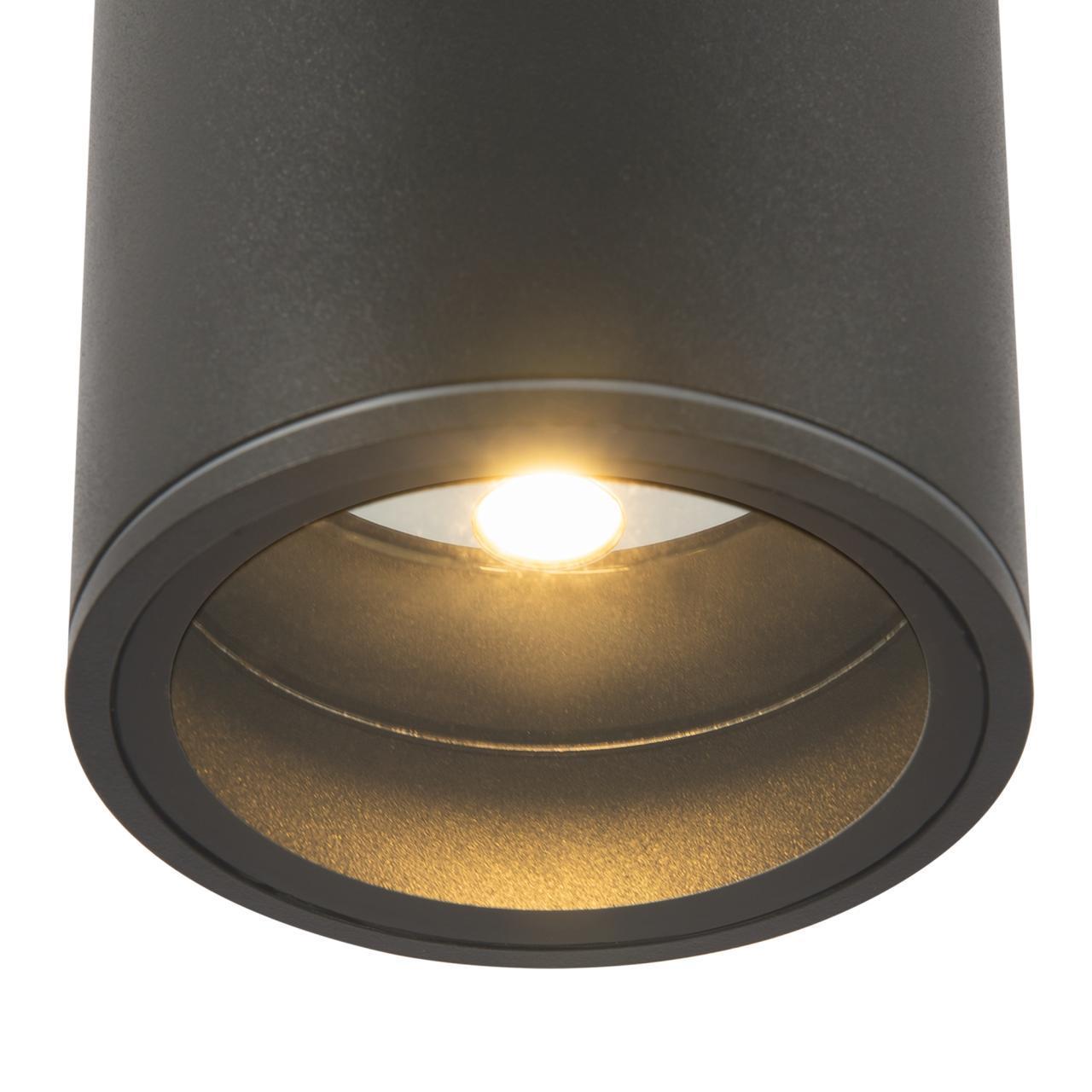 Дополнительная картинка Потолочный светильник Outdoor O306CL-L7GF