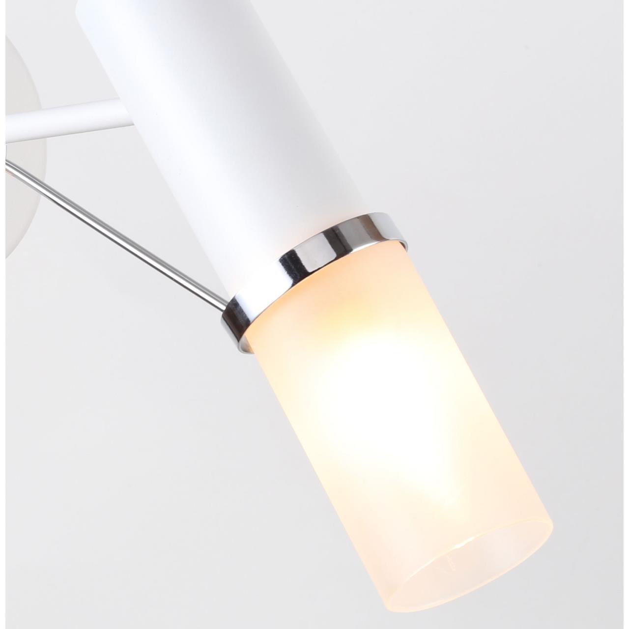 Дополнительная картинка Бра F-Promo Viator 2559-1W