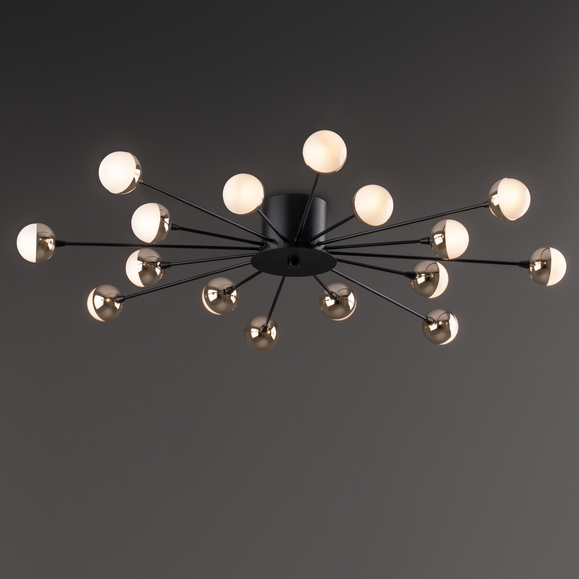 Дополнительная картинка Потолочная люстра Freya FR5242CL-16B