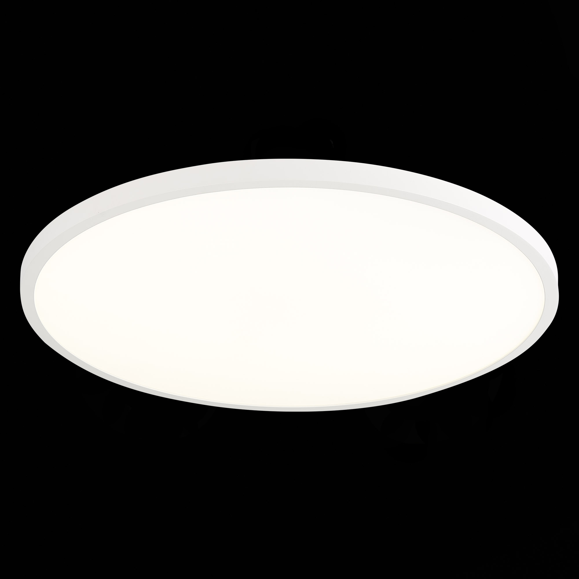 Настенно-потолочный светодиодный светильник ST Luce ST601.542.48 — фото 4