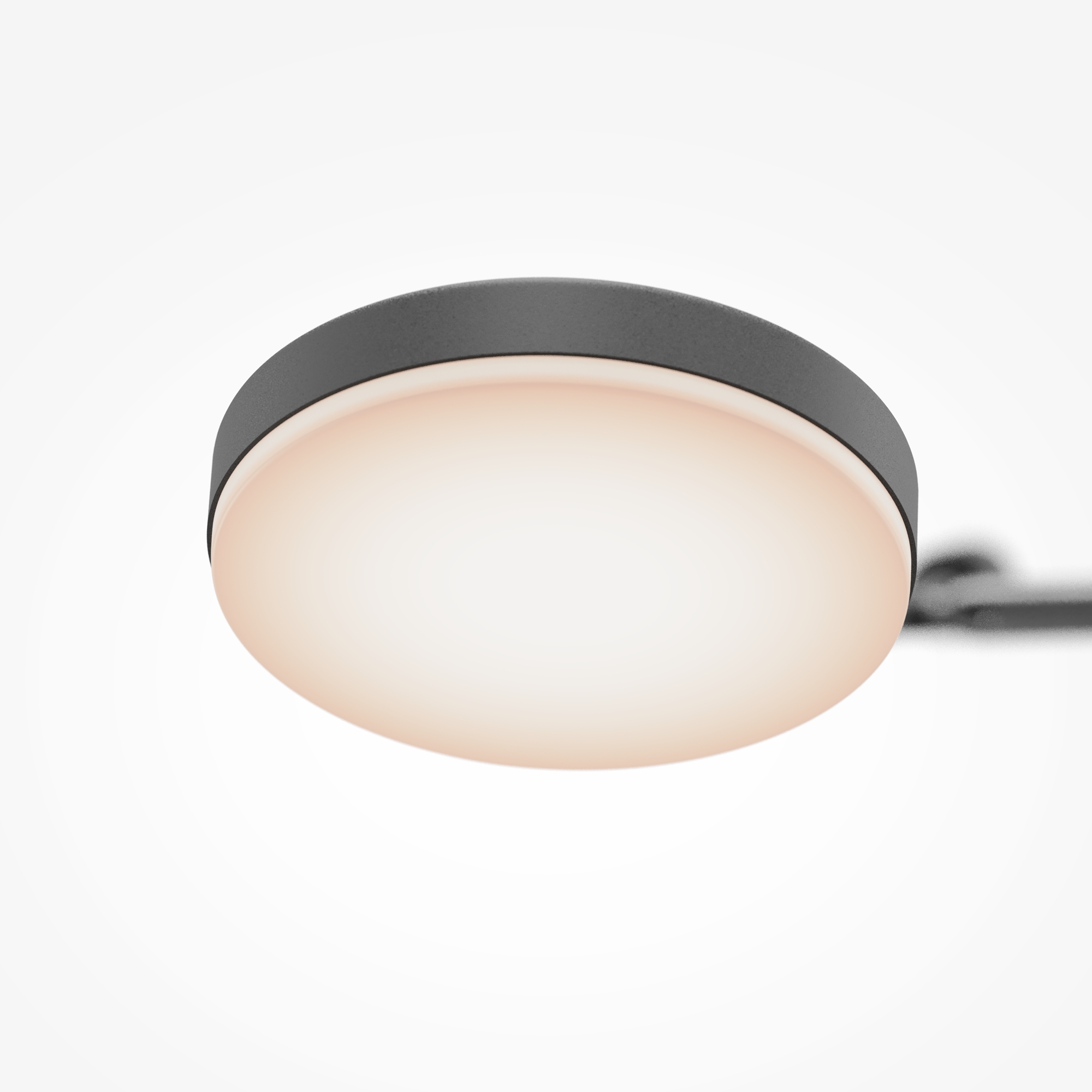 Дополнительная картинка Подвесной светильник Maytoni MOD070CL-L15B3K1