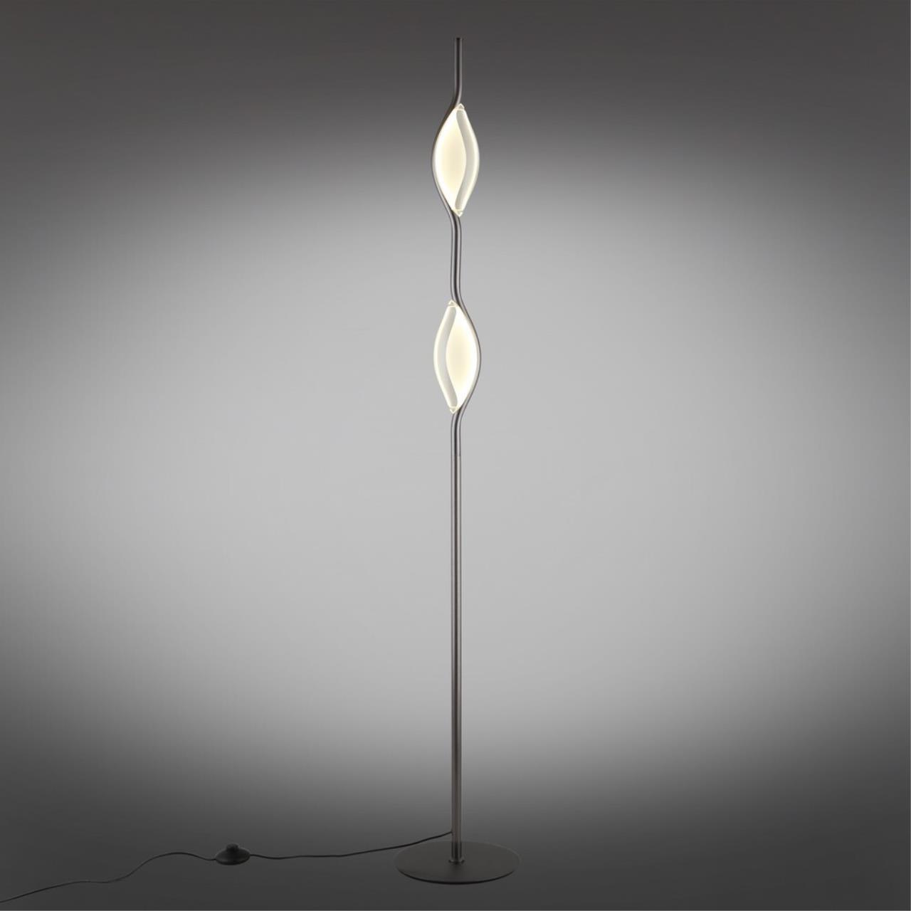 Картинка APL.060.05.18 Торшер Aployt Krysia