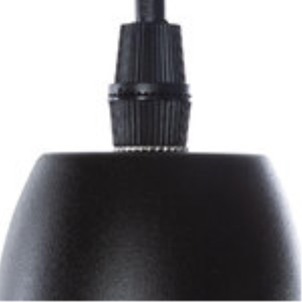 Дополнительная картинка Подвесной светильник Arte Lamp Braccio A2054SP-1BK