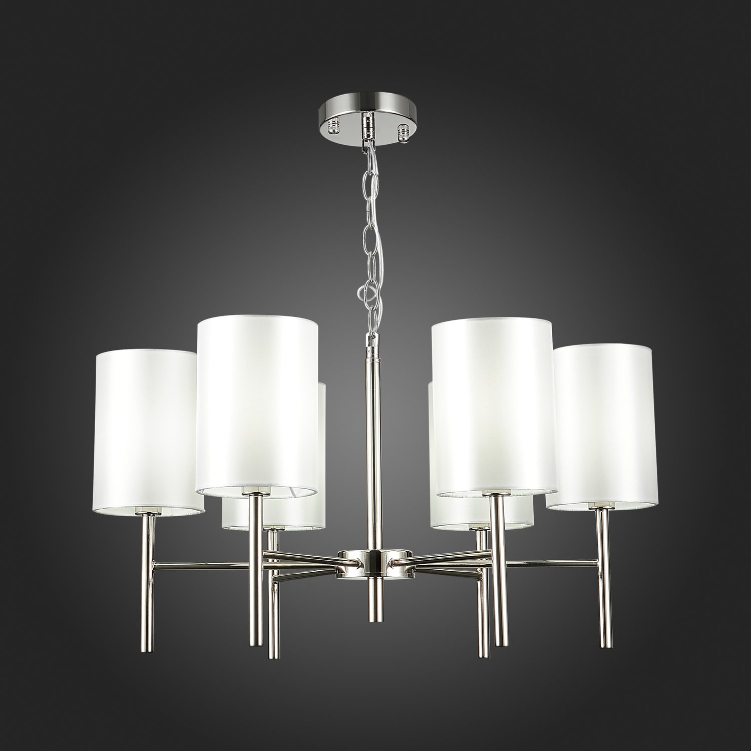 Картинка Подвесная люстра Evoluce Noia SLE107303-06