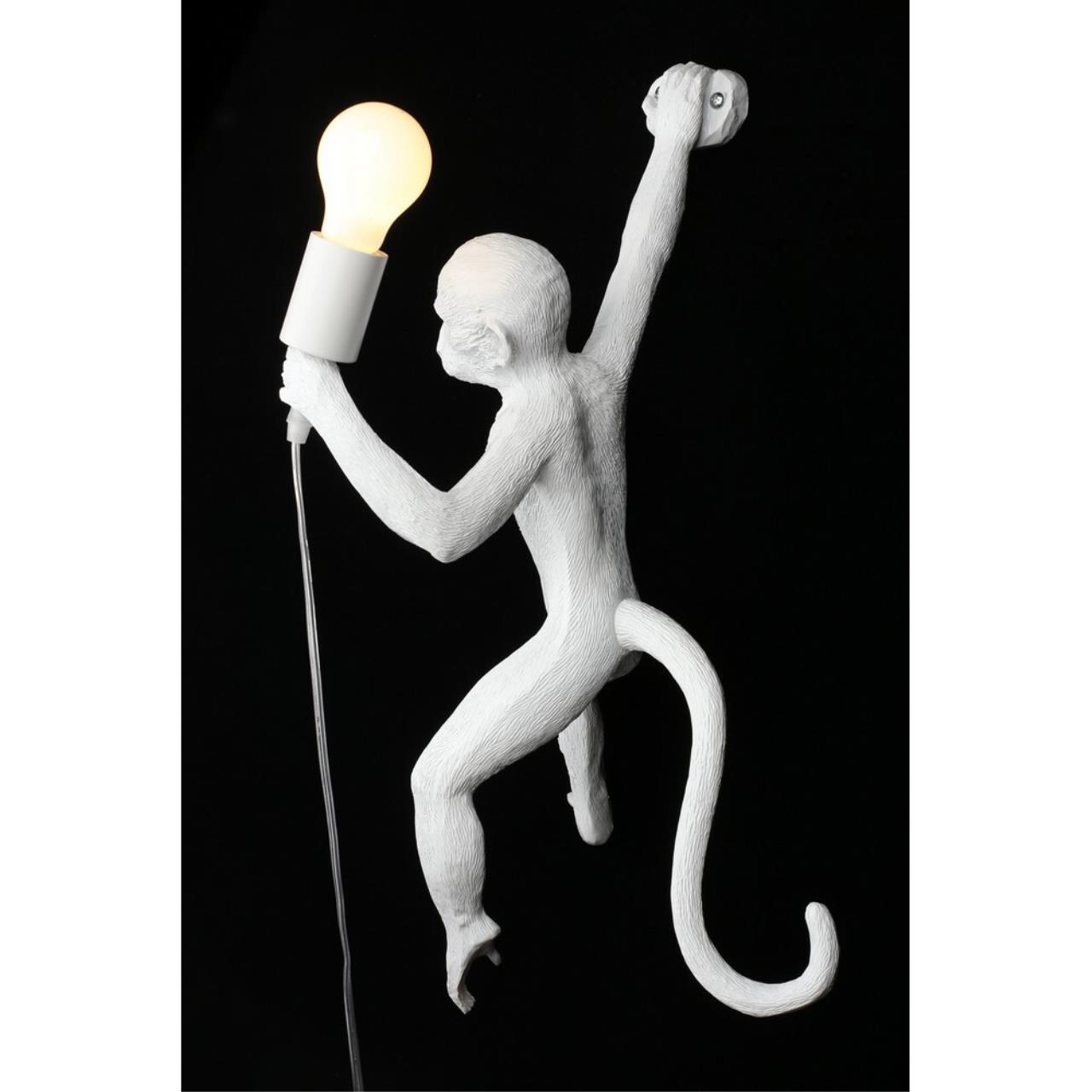 Картинка APL.309.11.01 Бра настенное Aployt Magali