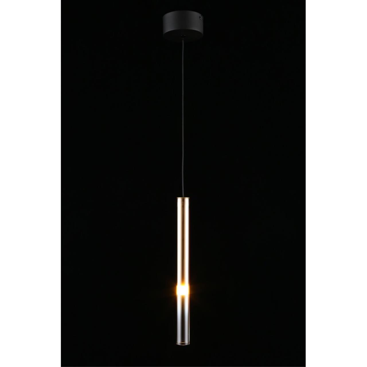 Картинка APL.059.06.04 Светильник подвесной Aployt Silveyn