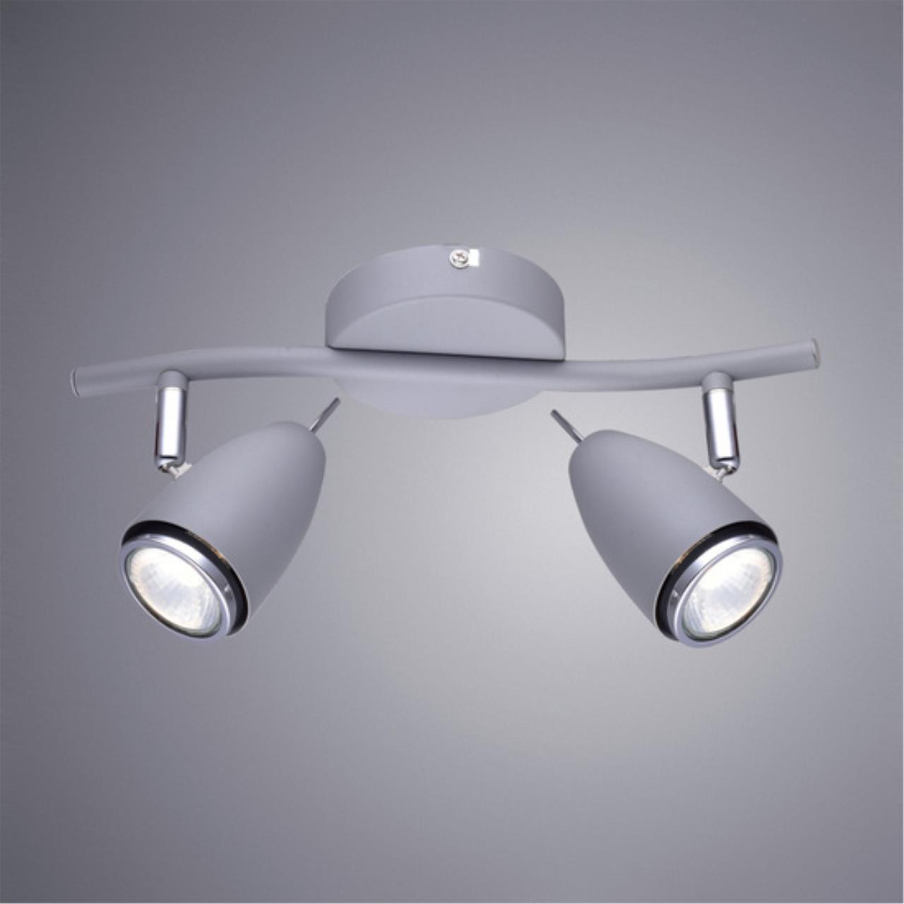 Дополнительная картинка Настенно-потолочный светильник Arte Lamp Regista A1966AP-2GY