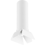 Дополнительная картинка Потолочный светильник Lightstar Rullo (214496+202436) R496436