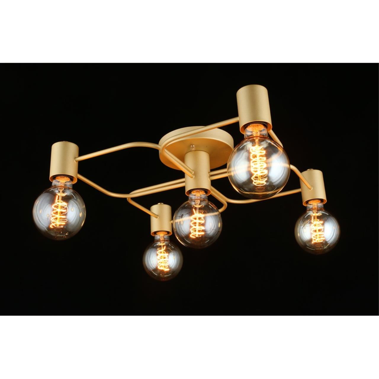 Картинка Потолочная люстра Aployt Elison APL.911.07.05