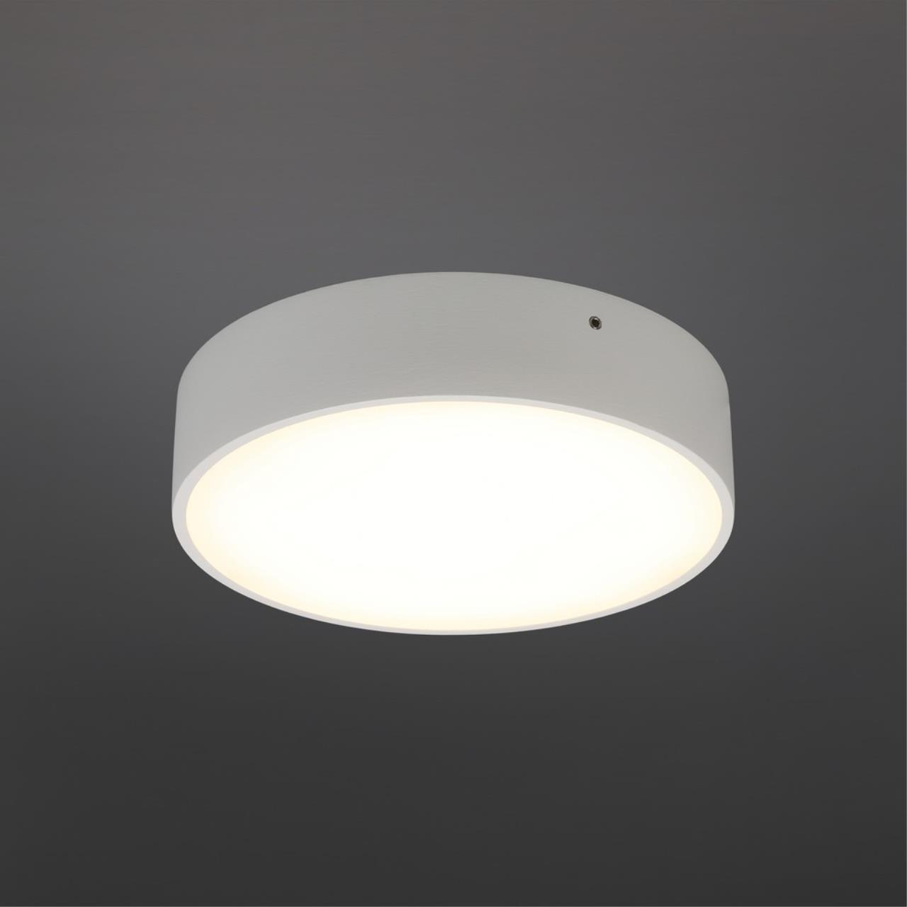 Картинка Потолочный светодиодный светильник Aployt Evon APL.0113.09.18