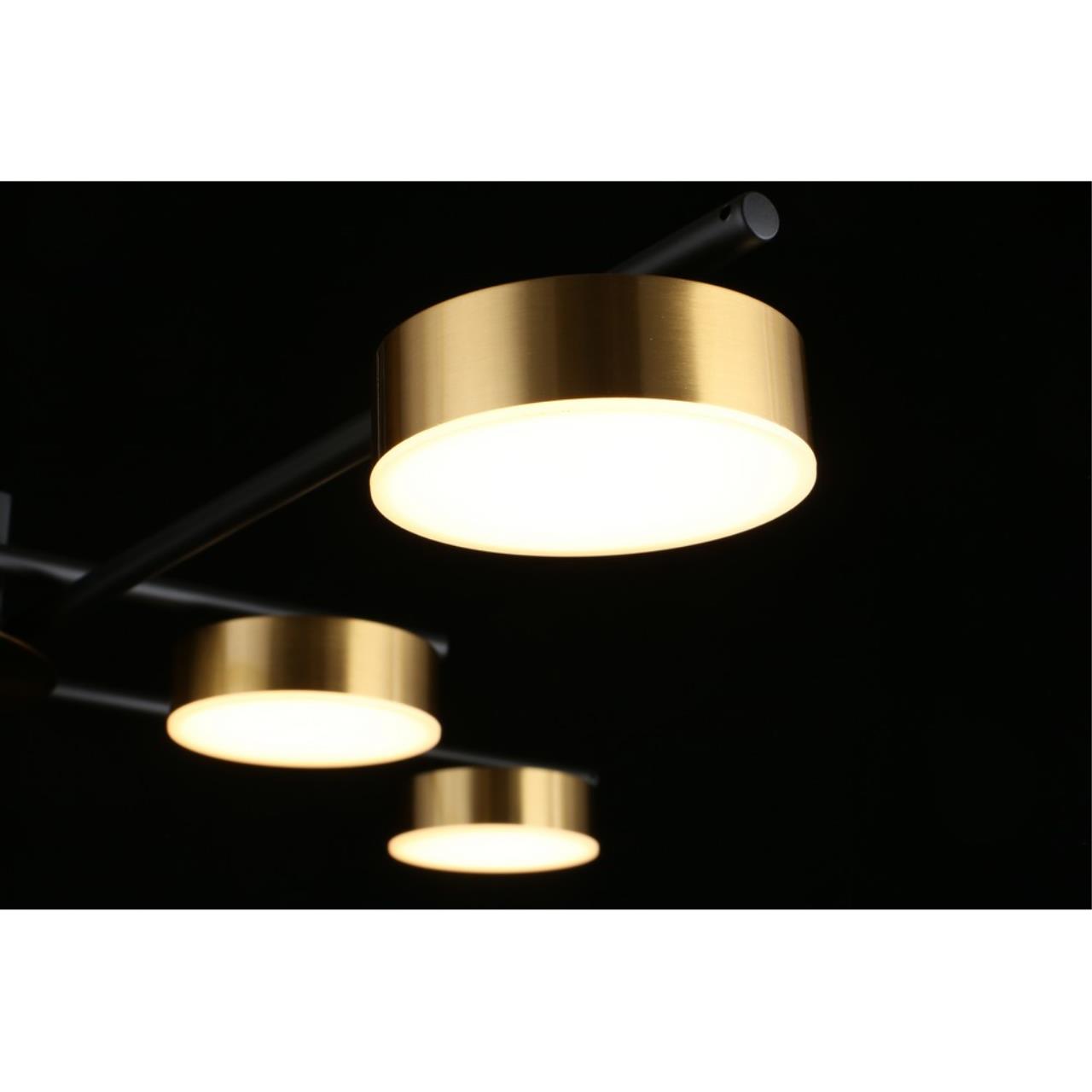 Картинка Потолочная светодиодная люстра Aployt Delayn APL.042.07.56